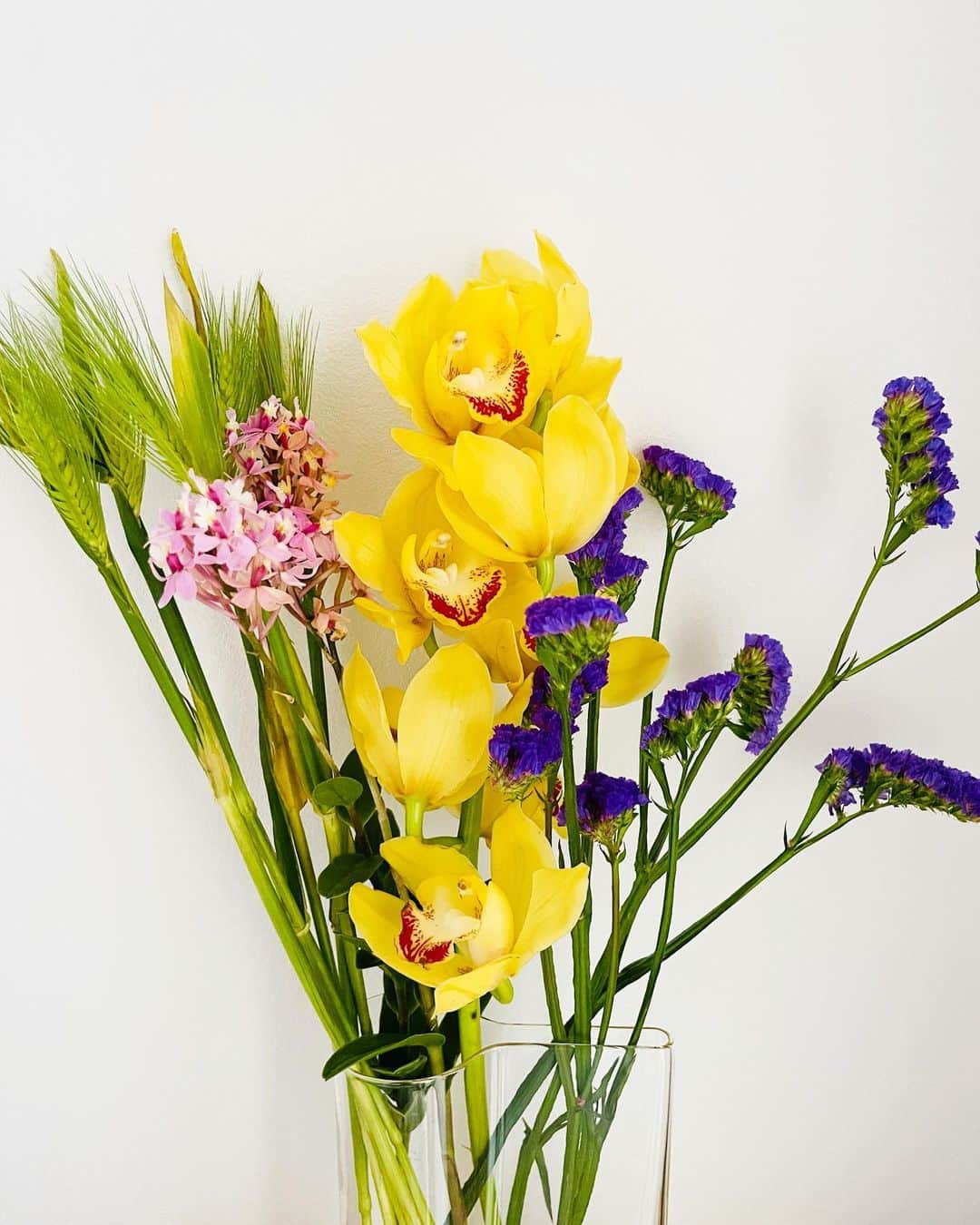 オクイシュージさんのインスタグラム写真 - (オクイシュージInstagram)「3月10日 お母ちゃん誕生日。 ということで選んだ花。 なんだっけ。花の名前ひとつも覚えてない。 なんだっけ。 ま、いっか。 おめでとうっ。」3月10日 17時32分 - shujiokui