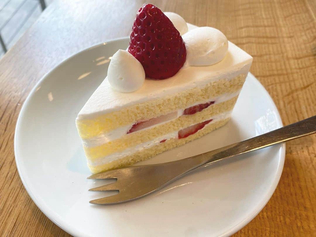 津島衣里さんのインスタグラム写真 - (津島衣里Instagram)「いちごいっぱいな時期でしあわせ🍓🍓🍓  #いちご #苺 #ショートケーキ #カフェ #渋谷 #渋谷カフェ #케이크 #카페 #딸기 #cafe #cake #whiteglasscoffee」3月10日 19時50分 - eritsushima_official