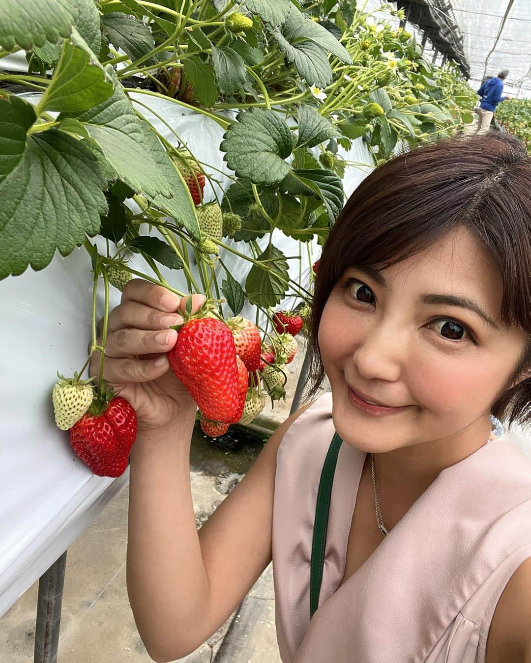 今村知可さんのインスタグラム写真 - (今村知可Instagram)「いちご狩り🍓 リルフィー伊良湖岬撮影会にて❣️  #おひさま農園 #いちご狩り #田原市 #伊良湖 #春 #撮影会モデル #撮影会の女神さま #モデル #japanesegirl #asianmodel #model #レースクイーン #グラビア #strawberry🍓 #insta #instagood #followforfollowback #フォロワー募集中」3月10日 20時00分 - chikalanguage