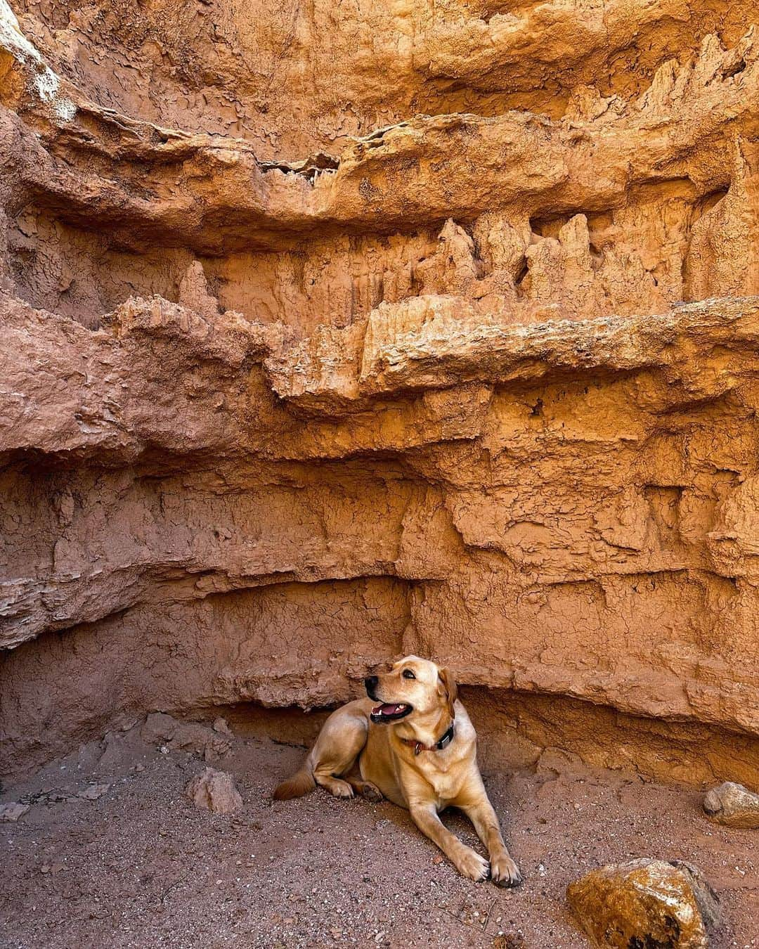 クリスさんのインスタグラム写真 - (クリスInstagram)「Blue is a great hiking buddy!」3月11日 5時43分 - christian_monsen