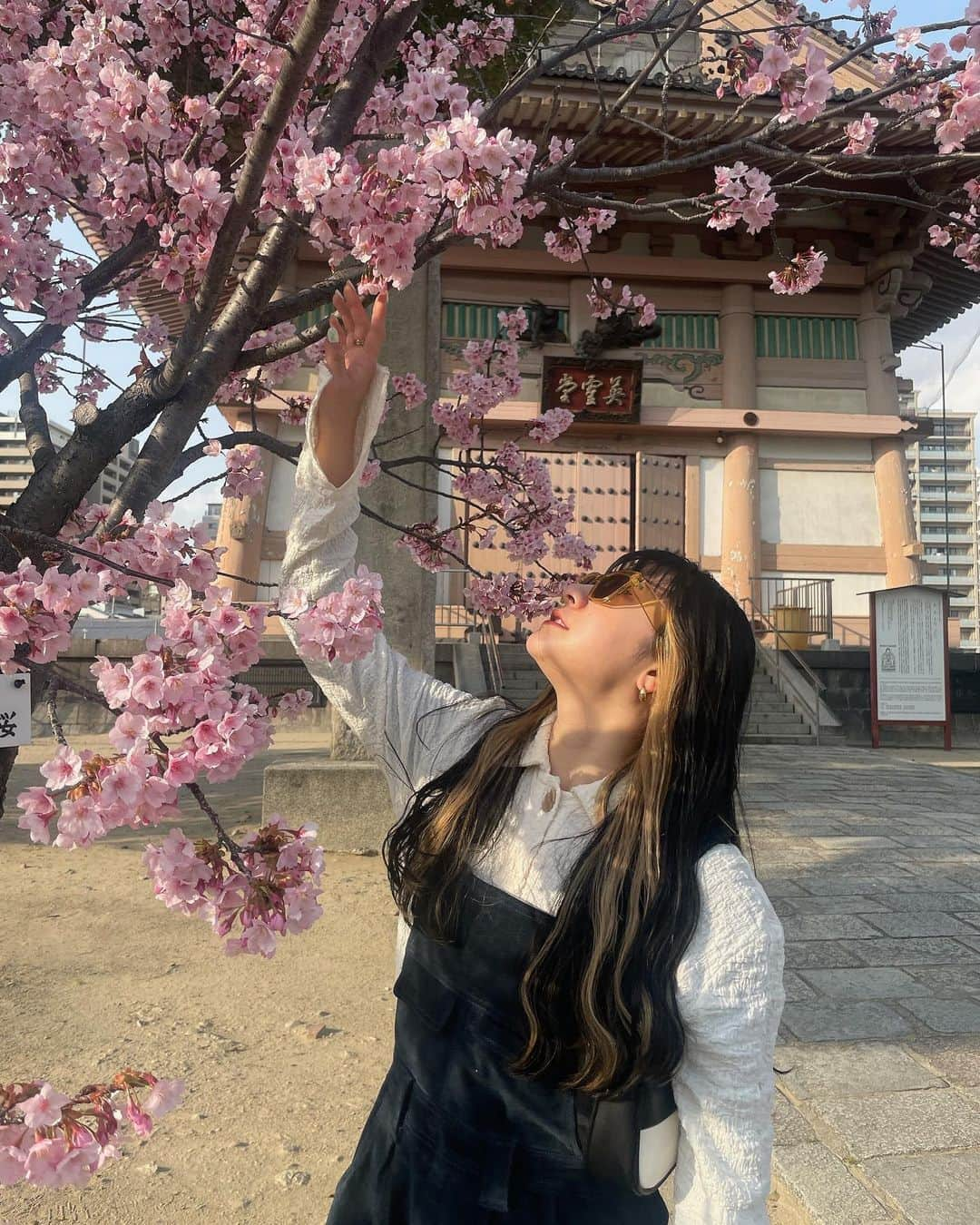 秋山眞緒さんのインスタグラム写真 - (秋山眞緒Instagram)「． 今年初桜  さくらってなんでこんなかわいいの♡ ⁡ #tsubaki_factory #秋山眞緒 #四天王寺」3月10日 22時15分 - mao__akiyama.official