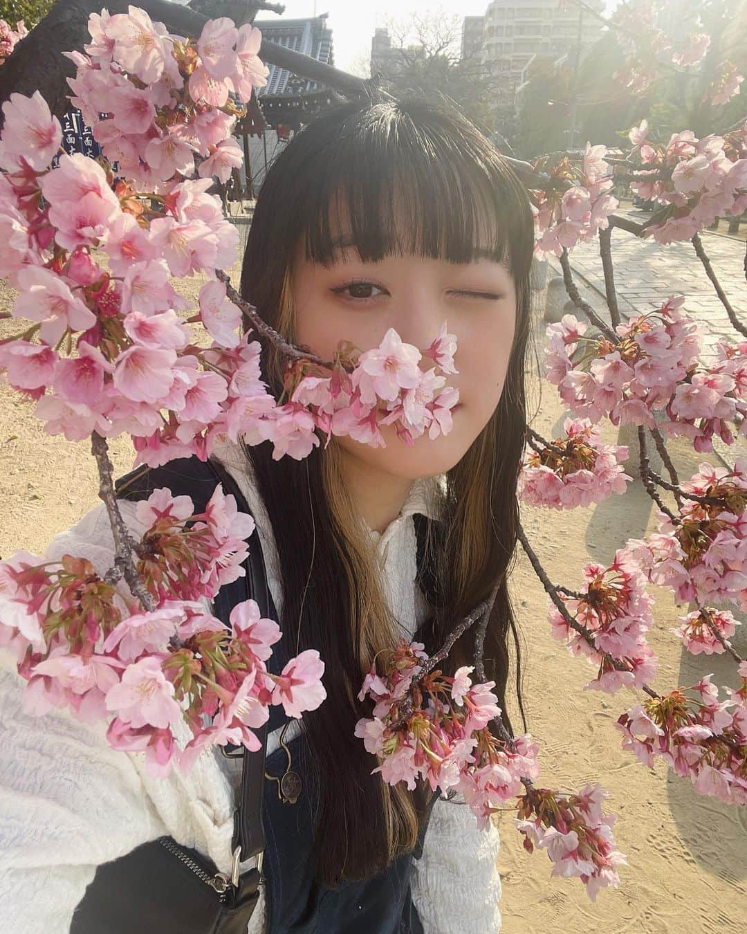 秋山眞緒さんのインスタグラム写真 - (秋山眞緒Instagram)「． 今年初桜  さくらってなんでこんなかわいいの♡ ⁡ #tsubaki_factory #秋山眞緒 #四天王寺」3月10日 22時15分 - mao__akiyama.official