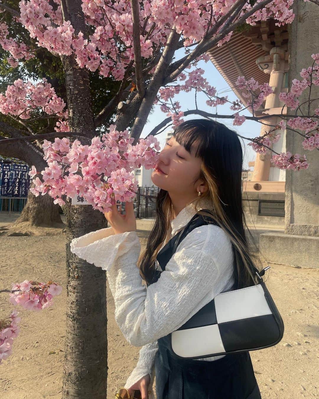 秋山眞緒のインスタグラム：「． 今年初桜  さくらってなんでこんなかわいいの♡ ⁡ #tsubaki_factory #秋山眞緒 #四天王寺」