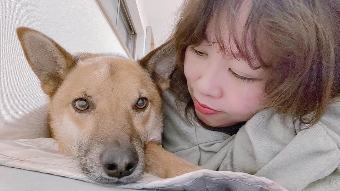 佐々木海のインスタグラム：「最高の写真撮れたから見て😆 こんな写真が撮れる日が来るなんて😭  #犬 #イヌ #イヌスタグラム #いぬすたぐらむ #犬バカ部 #いぬばか部 #ふわもこ部 #いぬら部 #犬のいる暮らし #保護犬 #元野犬 #雑種 #雑種犬 #ビビり犬 #里親 #保護犬を家族に #保護犬を飼おう #殺処分ゼロ #dogstagram #rescuedog #rescueddog」