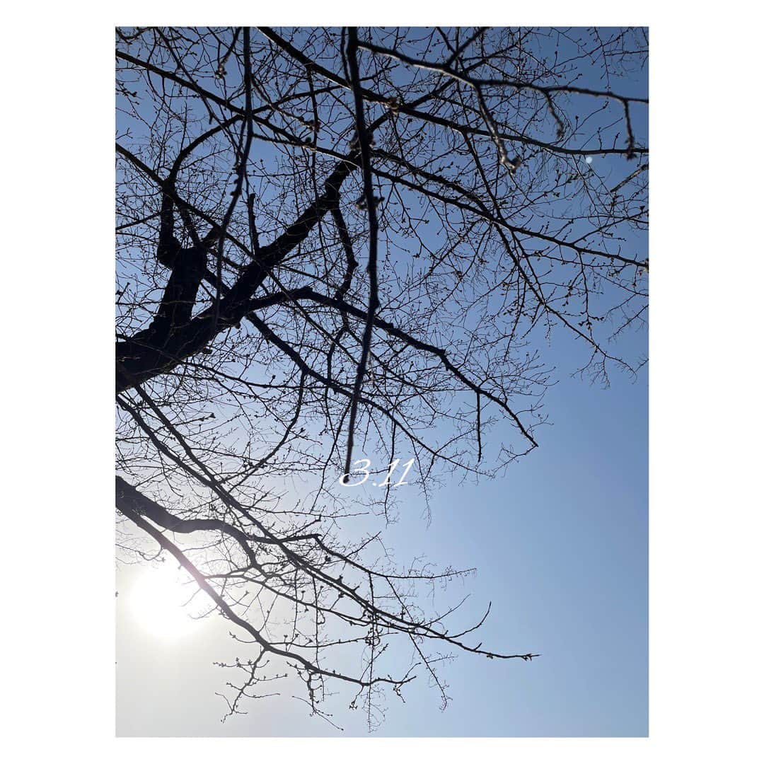 笹峯愛さんのインスタグラム写真 - (笹峯愛Instagram)「12年。  生きる事は 当たり前ではない 有り難い日々。」3月11日 15時09分 - mineco.m