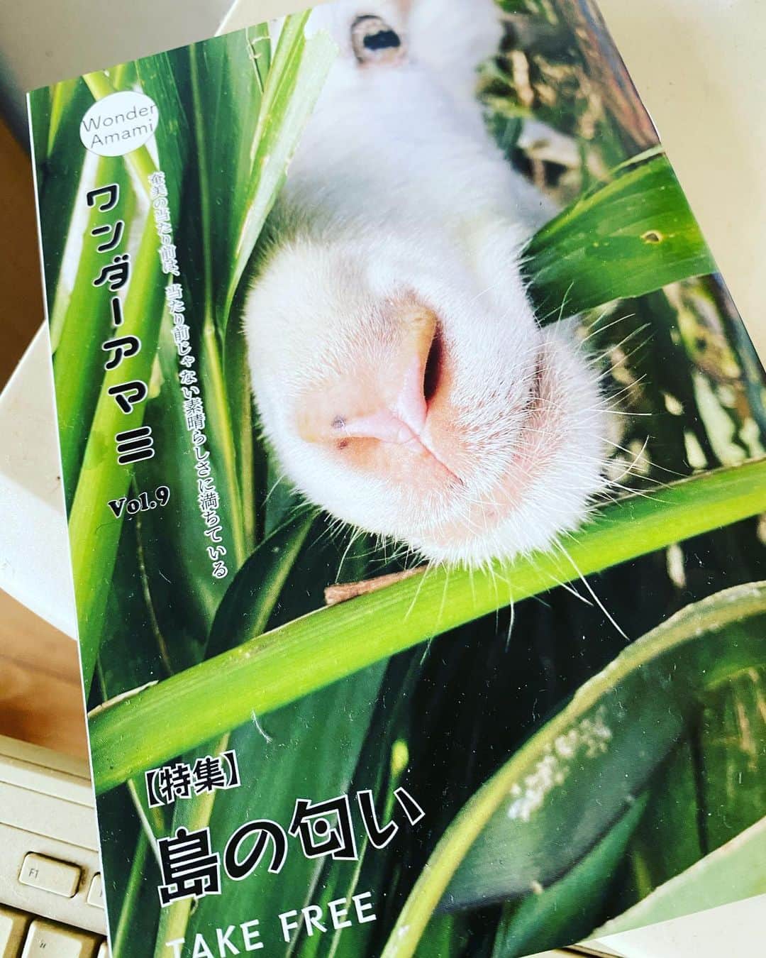 三谷晶子のインスタグラム：「絶賛配布中のワンダーアマミ Vol.9『島の匂い』特集。  毎回出させていただいてるお馴染みワンアマ編集チームで、3月15日にあまみエフエム　ディ！　ウェーブの『夕方フレンド』に出演します。 放送時間は3月15日18時15分頃から。 遠くにいらっしゃる方はインターネットラジオからも聞けますよ！  インターネットラジオはこちら↓ https://dwave.amamin.jp/c20828.html  なんで匂い特集でこの全面に山羊を見せる表紙になったのかなどもお話するかも？  皆さま、ぜひお聴きくださいませ✨✨✨  🙏引き続き配布店&広告&寄付募集🙏  ちなみに、このフリーペーパーを置いてくれる店舗や施設を募集中です。  そして、次号の制作費用にもなる、ご寄付や広告掲載も大募集中です！  【広告&寄付募集】  ●概要 ワンダーアマミは、奄美大島を中心とした唯一の環境文化型フリーペーパーです。「奄美の当たり前は、当たり前じゃない素晴らしさに満ちている」をテーマに、奄美の歴史や自然、人や商店の情報発信はもちろん、観光客が奄美を理解するための文化誌として、地域活性に貢献しています。半年に一度2,000部を配布し、島内全域の50店舗以上に設置しています。  ●広告料金 表3 1枠 カラー横6センチ×縦3センチ 3,000円 表3 1枠大　カラー横12センチ×縦3センチ　6,000円 表４ カラーA5サイズ　30,000円  ※広告の制作も料金に含まれます。写真と文言をご提供ください。 ※広告掲載誌が出来上がったら送付いたします。送料はご負担ください。 ※50部以上を希望者の方には、印刷費を追加で対応可能です。 ※掲載内容は編集部による審査があります。 ※公序良俗に反する恐れのあるもの、政治的活動または宗教活動に関するもの、児童及び青少年の健全育成に反する恐れのあるもの、第三者の著作権や財産権、プライバシー等を侵害する恐れのあるものはお断りいたします。 ※請求書をお送りしてから1ヶ月以内にお振込ください。  ●お申し込み方法 ワンダーアマミ編集部へご連絡ください。 メールwonder.amami@gmail.com 電話 090-6112-2872（三田）  ●寄付について その他、ワンダーアマミ制作へのご寄附を募集しています。 現在ワンダーアマミは、有志によるボランティアにて制作を行っています。今後、奄美の魅力を世に発信し続けていくためにも、皆様の支えが必要です。ご寄付をお考えの方は、編集部までご連絡ください。  皆さま、よろしくお願い申し上げます！  #奄美大島  #奄美大島旅行  #奄美大島観光」