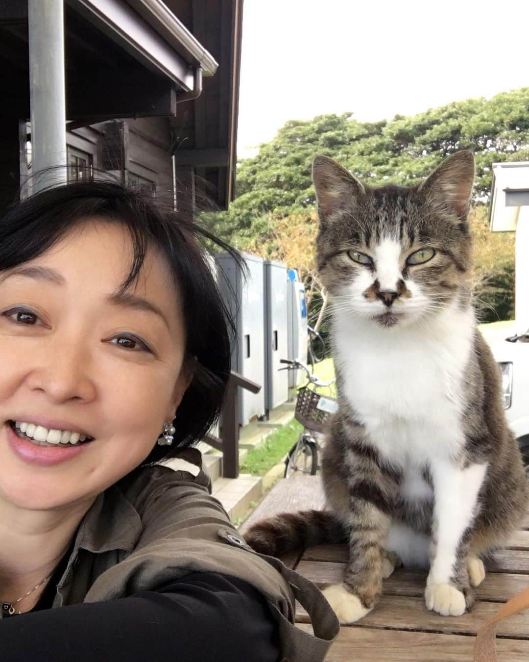 川上麻衣子さんのインスタグラム写真 - (川上麻衣子Instagram)「忘れてはいけない特別な一日。昨日のことのようでもあり、遠い記憶にも感じられます。最近私がイラストや作品のモチーフにしている猫は、宮城県田代島で出会った猫です。少し脚の悪い猫でしたが、何故か私の後をずっと着いてきて、自撮り棒をかざしたらしっかりと記念撮影に応じてくれた猫です。東北の被災地を訪れると時の流れが止まっている場所に突然でくわして、言葉を失うことがあります。決して忘れてはいけない。改めて思う朝です。」3月11日 8時29分 - kawakami.maiko