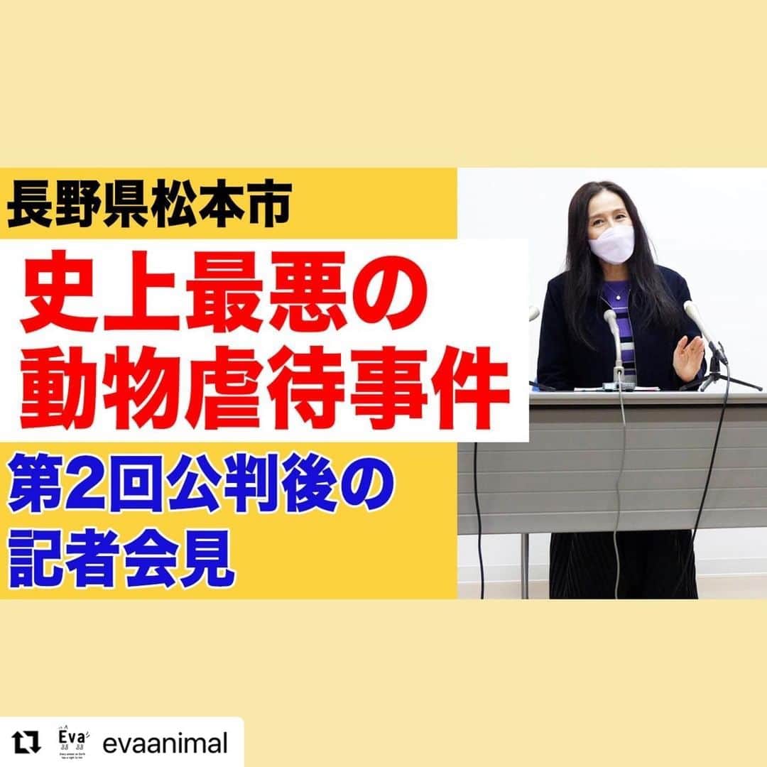 杉本彩のインスタグラム