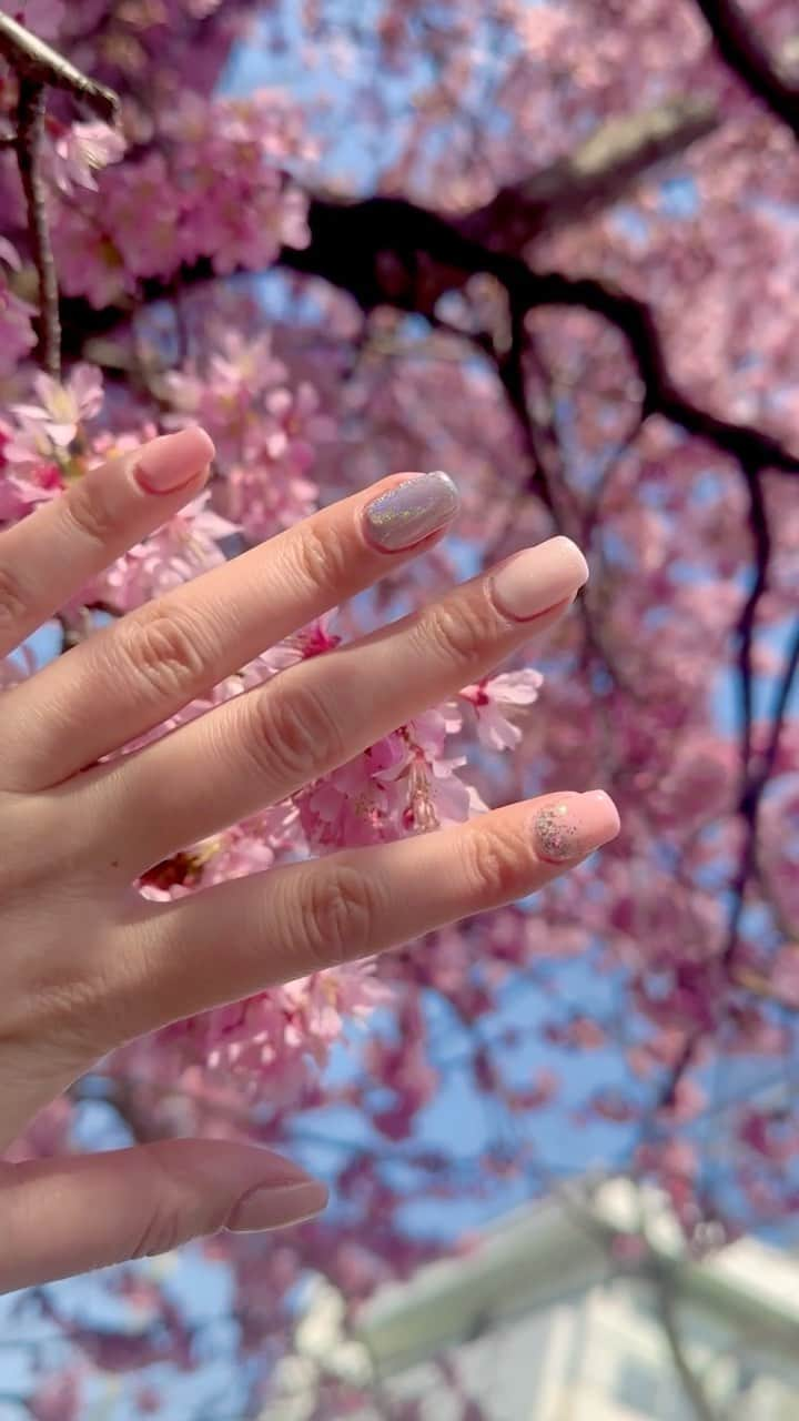 渡辺知夏子のインスタグラム：「🌸 PINK . 定期的に来るピンクブーム到来💗 . ミルキーさくらピンク🌸 透け感のあるミルキーピンク濃さ変えたりクリアラメ入れたりユニコーン✨ ユニコーンとラメに細かいブラックプラスして可愛い系になり過ぎないピンク💖🖤 .  #sakura #ジェルネイル  #ピンクネイル  #春ネイル  #桜 #桜ネイル」