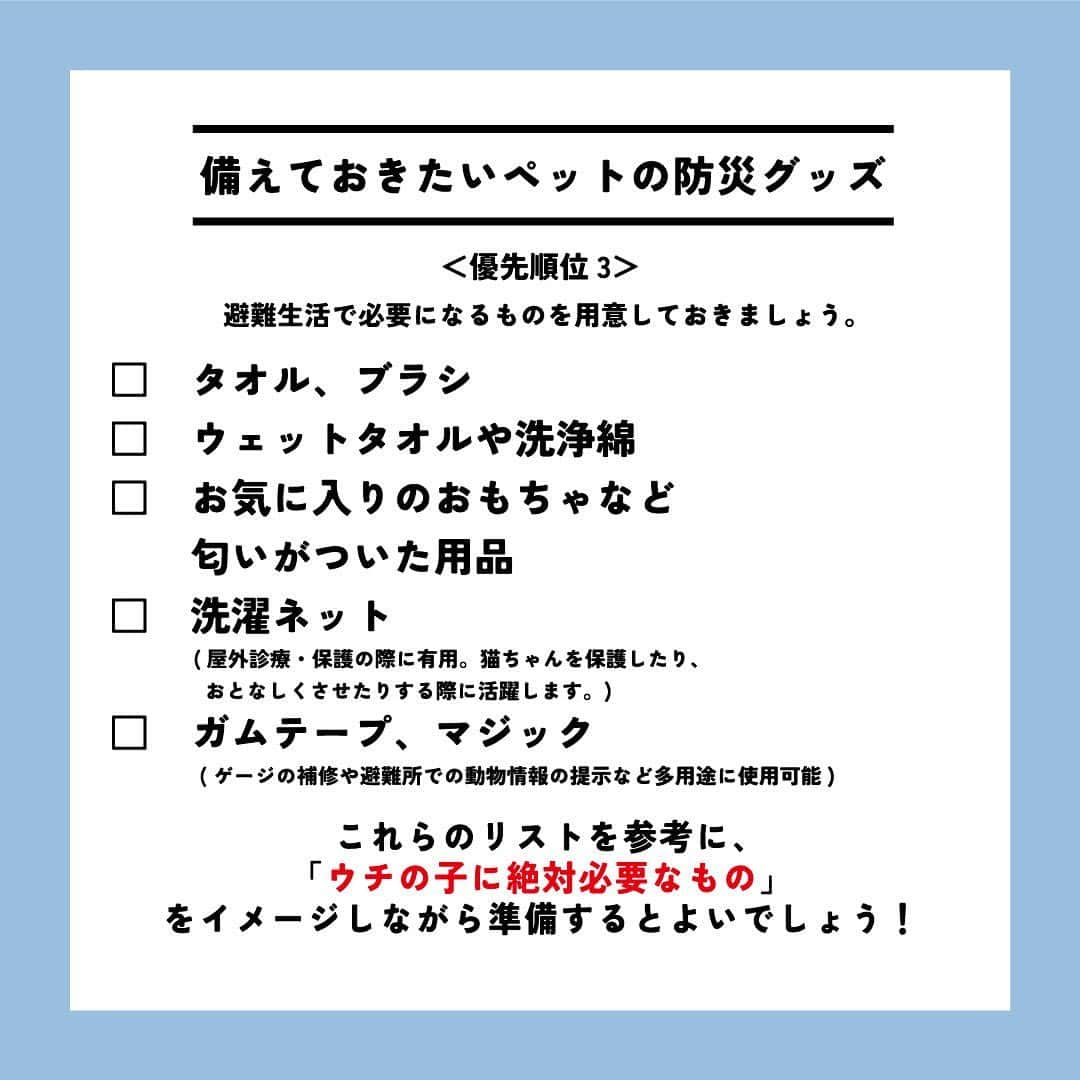 ライオン商事株式会社さんのインスタグラム写真 - (ライオン商事株式会社Instagram)「＼一緒に考えよう❗️猫の防災対策🐈／  災害への備えが必要なのは、人間も猫も同じです。 フードや水、猫砂やトイレ用品、衛生グッズなどは、 普段から多めにストックし、１つ使ったら買い足すようにしておくと安心。  いつ起こるかわからない災害に備えて、ヒトだけでなく愛猫のための防災グッズや避難方法についても見直しておきましょう。👀  ※この投稿は、環境省の『災害、あなたとペットは大丈夫？人とペットの災害対策ガイドライン＜一般飼い主編＞』を参考引用して作成しています。 出典：環境省ホームページ（https://www.env.go.jp/）  ■備えておきたい愛猫の防災グッズ 一般的に3日～5日以上の避難生活に備えることが求められていますので、 愛猫と避難する場合でも、この期間を想定して準備しましょう。  ■同行避難と同伴避難 ペットを連れて避難するには同行（どうこう）避難と同伴（どうはん）避難があります。 飼い主さんは、事前に近隣の避難先にペットの受け入れ体制がある#ぼうさいかを調べたり、 避難生活で発生するペットの問題に自分のペットが対応できるかを確認しておきましょう。  ■避難時のトラブルを防ぐために 平常時から下記のことを済ませておきましょう ・ケージや家具は固定し、落下や転倒を防止する ・ゲージやキャリーバッグに慣れさせておく ・各種ワクチンの接種 ・ノミ・マダニなどの寄生虫の駆除・予防 ・首輪と迷子札、マイクロチップの装着　など  ■急に預ける場合にも備える 災害時だけでなく、飼い主さんの急病時や入院時に 愛猫のお世話ができなくなる場合にも備えることも必要です。 すぐに愛猫を預けることができるように、知人や動物病院などへの預け先を確保しておきましょう。  しっかりと備えておくことで、 いざという際に速やかに、 落ち着いて行動することができます😌  愛猫をどのように守り避難させるか、 非常用持ち出し袋や備蓄物資などについて 日頃から家族と相談し、災害に備えておくことが重要です。  この機会に、ご家庭の愛猫の防災対策を見直してみませんか？☘️🐱  #猫 #防災対策 #ペット防災 #防災 #防災リュック #3月11日 #猫のいる暮らし #猫好きさんと繋がりたい #ねこ #ねこすたぐらむ #ねこのいる生活 #ねこ部 #ネコ #保護猫 #保護猫と暮らす #保護猫出身 #同行避難 #同伴避難 #猫おやつ #猫砂 #猫トイレ #ローリングストック #ニオイをとる砂 #ペットキレイ #シュシュット @lion_pet_cat」3月11日 10時28分 - lion_pet_cat