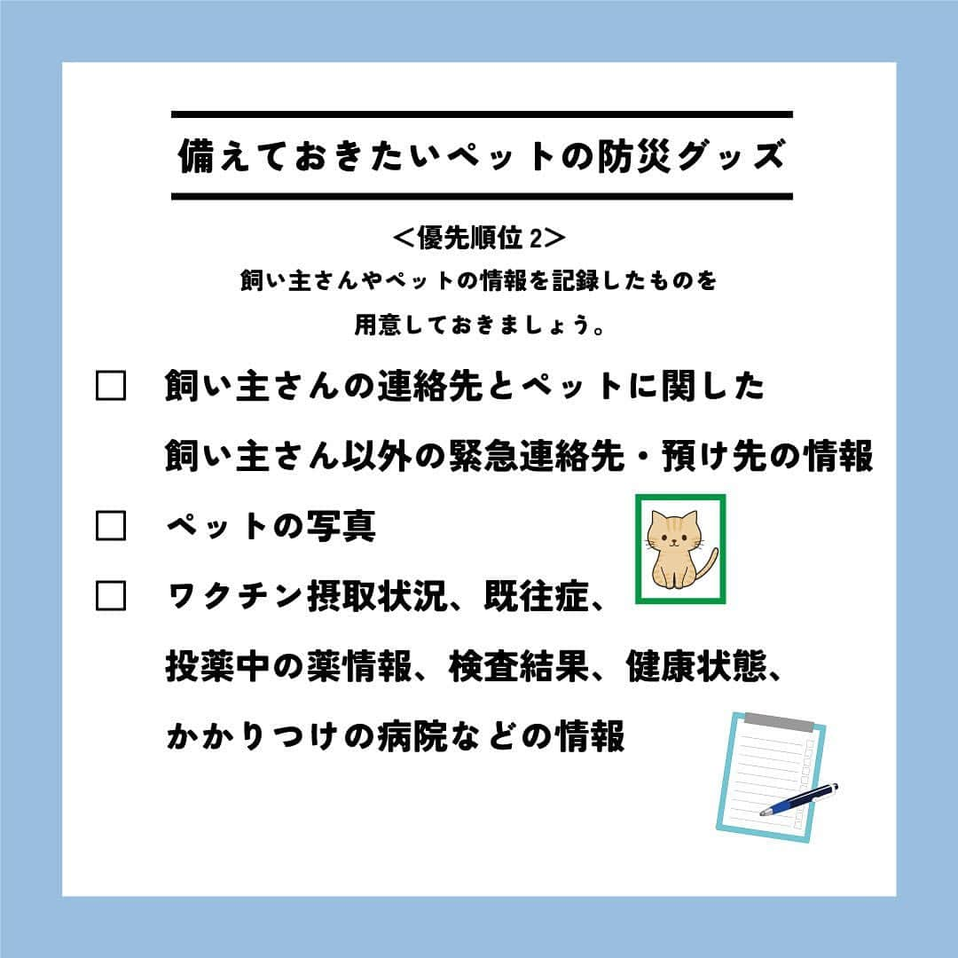 ライオン商事株式会社さんのインスタグラム写真 - (ライオン商事株式会社Instagram)「＼一緒に考えよう❗️猫の防災対策🐈／  災害への備えが必要なのは、人間も猫も同じです。 フードや水、猫砂やトイレ用品、衛生グッズなどは、 普段から多めにストックし、１つ使ったら買い足すようにしておくと安心。  いつ起こるかわからない災害に備えて、ヒトだけでなく愛猫のための防災グッズや避難方法についても見直しておきましょう。👀  ※この投稿は、環境省の『災害、あなたとペットは大丈夫？人とペットの災害対策ガイドライン＜一般飼い主編＞』を参考引用して作成しています。 出典：環境省ホームページ（https://www.env.go.jp/）  ■備えておきたい愛猫の防災グッズ 一般的に3日～5日以上の避難生活に備えることが求められていますので、 愛猫と避難する場合でも、この期間を想定して準備しましょう。  ■同行避難と同伴避難 ペットを連れて避難するには同行（どうこう）避難と同伴（どうはん）避難があります。 飼い主さんは、事前に近隣の避難先にペットの受け入れ体制がある#ぼうさいかを調べたり、 避難生活で発生するペットの問題に自分のペットが対応できるかを確認しておきましょう。  ■避難時のトラブルを防ぐために 平常時から下記のことを済ませておきましょう ・ケージや家具は固定し、落下や転倒を防止する ・ゲージやキャリーバッグに慣れさせておく ・各種ワクチンの接種 ・ノミ・マダニなどの寄生虫の駆除・予防 ・首輪と迷子札、マイクロチップの装着　など  ■急に預ける場合にも備える 災害時だけでなく、飼い主さんの急病時や入院時に 愛猫のお世話ができなくなる場合にも備えることも必要です。 すぐに愛猫を預けることができるように、知人や動物病院などへの預け先を確保しておきましょう。  しっかりと備えておくことで、 いざという際に速やかに、 落ち着いて行動することができます😌  愛猫をどのように守り避難させるか、 非常用持ち出し袋や備蓄物資などについて 日頃から家族と相談し、災害に備えておくことが重要です。  この機会に、ご家庭の愛猫の防災対策を見直してみませんか？☘️🐱  #猫 #防災対策 #ペット防災 #防災 #防災リュック #3月11日 #猫のいる暮らし #猫好きさんと繋がりたい #ねこ #ねこすたぐらむ #ねこのいる生活 #ねこ部 #ネコ #保護猫 #保護猫と暮らす #保護猫出身 #同行避難 #同伴避難 #猫おやつ #猫砂 #猫トイレ #ローリングストック #ニオイをとる砂 #ペットキレイ #シュシュット @lion_pet_cat」3月11日 10時28分 - lion_pet_cat