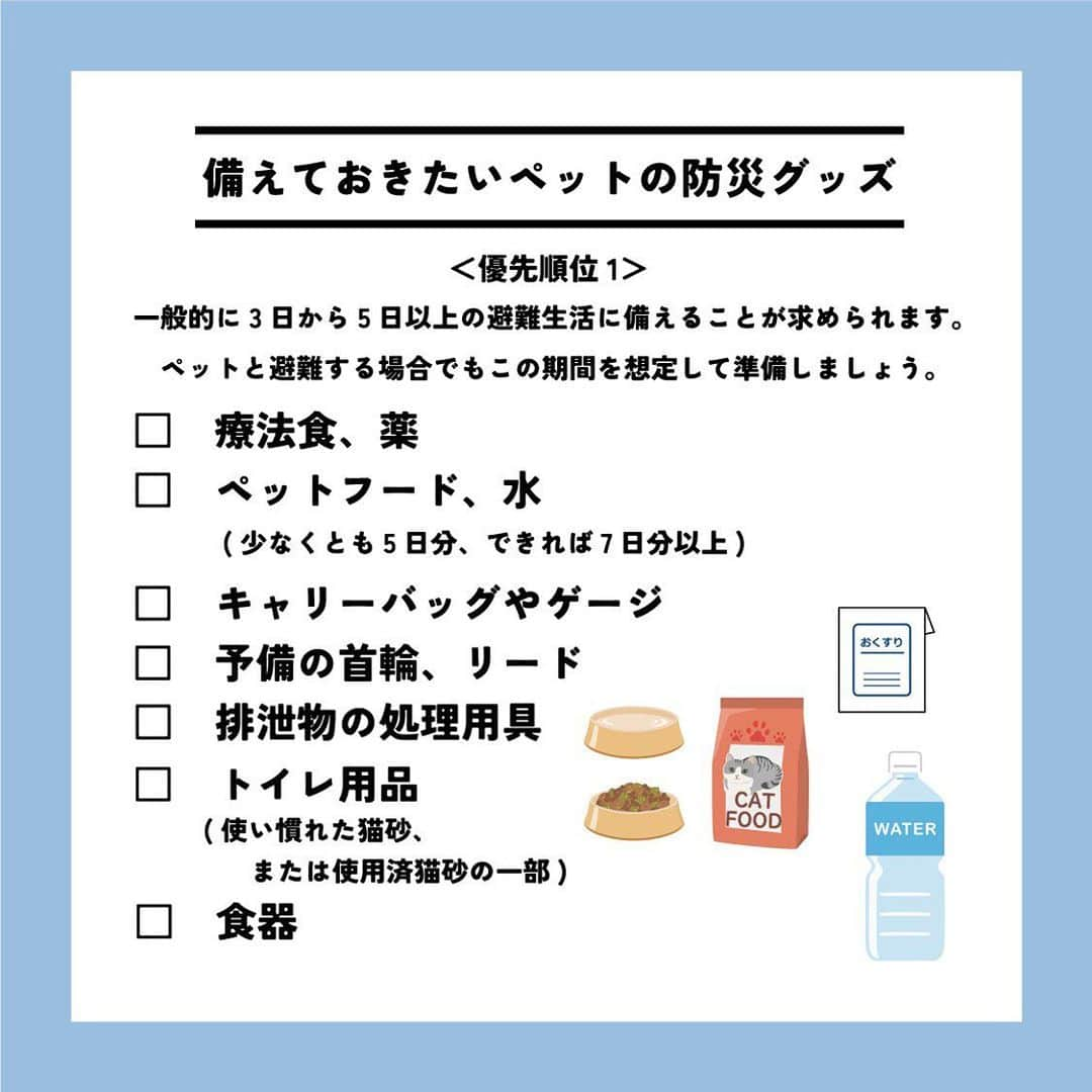 ライオン商事株式会社さんのインスタグラム写真 - (ライオン商事株式会社Instagram)「＼一緒に考えよう❗️猫の防災対策🐈／  災害への備えが必要なのは、人間も猫も同じです。 フードや水、猫砂やトイレ用品、衛生グッズなどは、 普段から多めにストックし、１つ使ったら買い足すようにしておくと安心。  いつ起こるかわからない災害に備えて、ヒトだけでなく愛猫のための防災グッズや避難方法についても見直しておきましょう。👀  ※この投稿は、環境省の『災害、あなたとペットは大丈夫？人とペットの災害対策ガイドライン＜一般飼い主編＞』を参考引用して作成しています。 出典：環境省ホームページ（https://www.env.go.jp/）  ■備えておきたい愛猫の防災グッズ 一般的に3日～5日以上の避難生活に備えることが求められていますので、 愛猫と避難する場合でも、この期間を想定して準備しましょう。  ■同行避難と同伴避難 ペットを連れて避難するには同行（どうこう）避難と同伴（どうはん）避難があります。 飼い主さんは、事前に近隣の避難先にペットの受け入れ体制がある#ぼうさいかを調べたり、 避難生活で発生するペットの問題に自分のペットが対応できるかを確認しておきましょう。  ■避難時のトラブルを防ぐために 平常時から下記のことを済ませておきましょう ・ケージや家具は固定し、落下や転倒を防止する ・ゲージやキャリーバッグに慣れさせておく ・各種ワクチンの接種 ・ノミ・マダニなどの寄生虫の駆除・予防 ・首輪と迷子札、マイクロチップの装着　など  ■急に預ける場合にも備える 災害時だけでなく、飼い主さんの急病時や入院時に 愛猫のお世話ができなくなる場合にも備えることも必要です。 すぐに愛猫を預けることができるように、知人や動物病院などへの預け先を確保しておきましょう。  しっかりと備えておくことで、 いざという際に速やかに、 落ち着いて行動することができます😌  愛猫をどのように守り避難させるか、 非常用持ち出し袋や備蓄物資などについて 日頃から家族と相談し、災害に備えておくことが重要です。  この機会に、ご家庭の愛猫の防災対策を見直してみませんか？☘️🐱  #猫 #防災対策 #ペット防災 #防災 #防災リュック #3月11日 #猫のいる暮らし #猫好きさんと繋がりたい #ねこ #ねこすたぐらむ #ねこのいる生活 #ねこ部 #ネコ #保護猫 #保護猫と暮らす #保護猫出身 #同行避難 #同伴避難 #猫おやつ #猫砂 #猫トイレ #ローリングストック #ニオイをとる砂 #ペットキレイ #シュシュット @lion_pet_cat」3月11日 10時28分 - lion_pet_cat