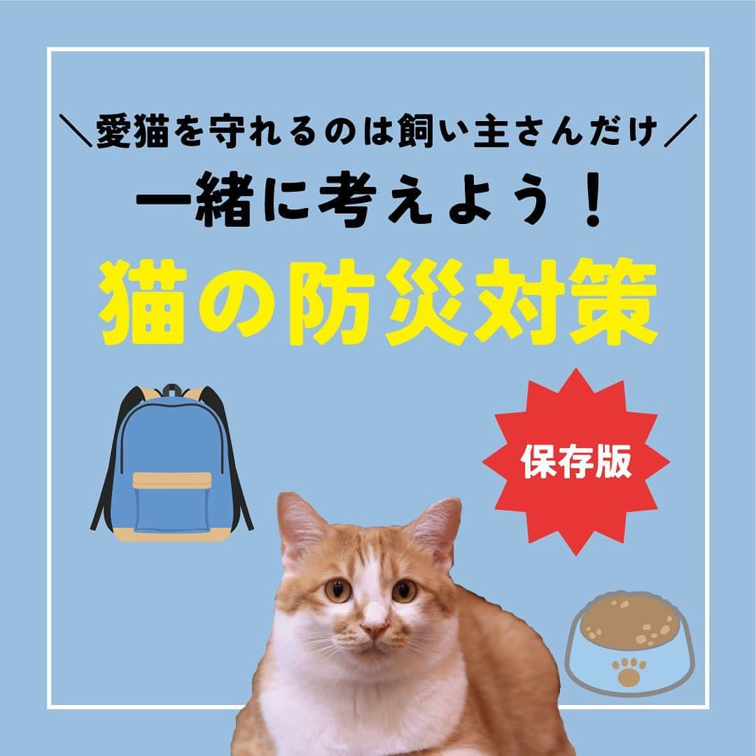 ライオン商事株式会社のインスタグラム：「＼一緒に考えよう❗️猫の防災対策🐈／  災害への備えが必要なのは、人間も猫も同じです。 フードや水、猫砂やトイレ用品、衛生グッズなどは、 普段から多めにストックし、１つ使ったら買い足すようにしておくと安心。  いつ起こるかわからない災害に備えて、ヒトだけでなく愛猫のための防災グッズや避難方法についても見直しておきましょう。👀  ※この投稿は、環境省の『災害、あなたとペットは大丈夫？人とペットの災害対策ガイドライン＜一般飼い主編＞』を参考引用して作成しています。 出典：環境省ホームページ（https://www.env.go.jp/）  ■備えておきたい愛猫の防災グッズ 一般的に3日～5日以上の避難生活に備えることが求められていますので、 愛猫と避難する場合でも、この期間を想定して準備しましょう。  ■同行避難と同伴避難 ペットを連れて避難するには同行（どうこう）避難と同伴（どうはん）避難があります。 飼い主さんは、事前に近隣の避難先にペットの受け入れ体制がある#ぼうさいかを調べたり、 避難生活で発生するペットの問題に自分のペットが対応できるかを確認しておきましょう。  ■避難時のトラブルを防ぐために 平常時から下記のことを済ませておきましょう ・ケージや家具は固定し、落下や転倒を防止する ・ゲージやキャリーバッグに慣れさせておく ・各種ワクチンの接種 ・ノミ・マダニなどの寄生虫の駆除・予防 ・首輪と迷子札、マイクロチップの装着　など  ■急に預ける場合にも備える 災害時だけでなく、飼い主さんの急病時や入院時に 愛猫のお世話ができなくなる場合にも備えることも必要です。 すぐに愛猫を預けることができるように、知人や動物病院などへの預け先を確保しておきましょう。  しっかりと備えておくことで、 いざという際に速やかに、 落ち着いて行動することができます😌  愛猫をどのように守り避難させるか、 非常用持ち出し袋や備蓄物資などについて 日頃から家族と相談し、災害に備えておくことが重要です。  この機会に、ご家庭の愛猫の防災対策を見直してみませんか？☘️🐱  #猫 #防災対策 #ペット防災 #防災 #防災リュック #3月11日 #猫のいる暮らし #猫好きさんと繋がりたい #ねこ #ねこすたぐらむ #ねこのいる生活 #ねこ部 #ネコ #保護猫 #保護猫と暮らす #保護猫出身 #同行避難 #同伴避難 #猫おやつ #猫砂 #猫トイレ #ローリングストック #ニオイをとる砂 #ペットキレイ #シュシュット @lion_pet_cat」