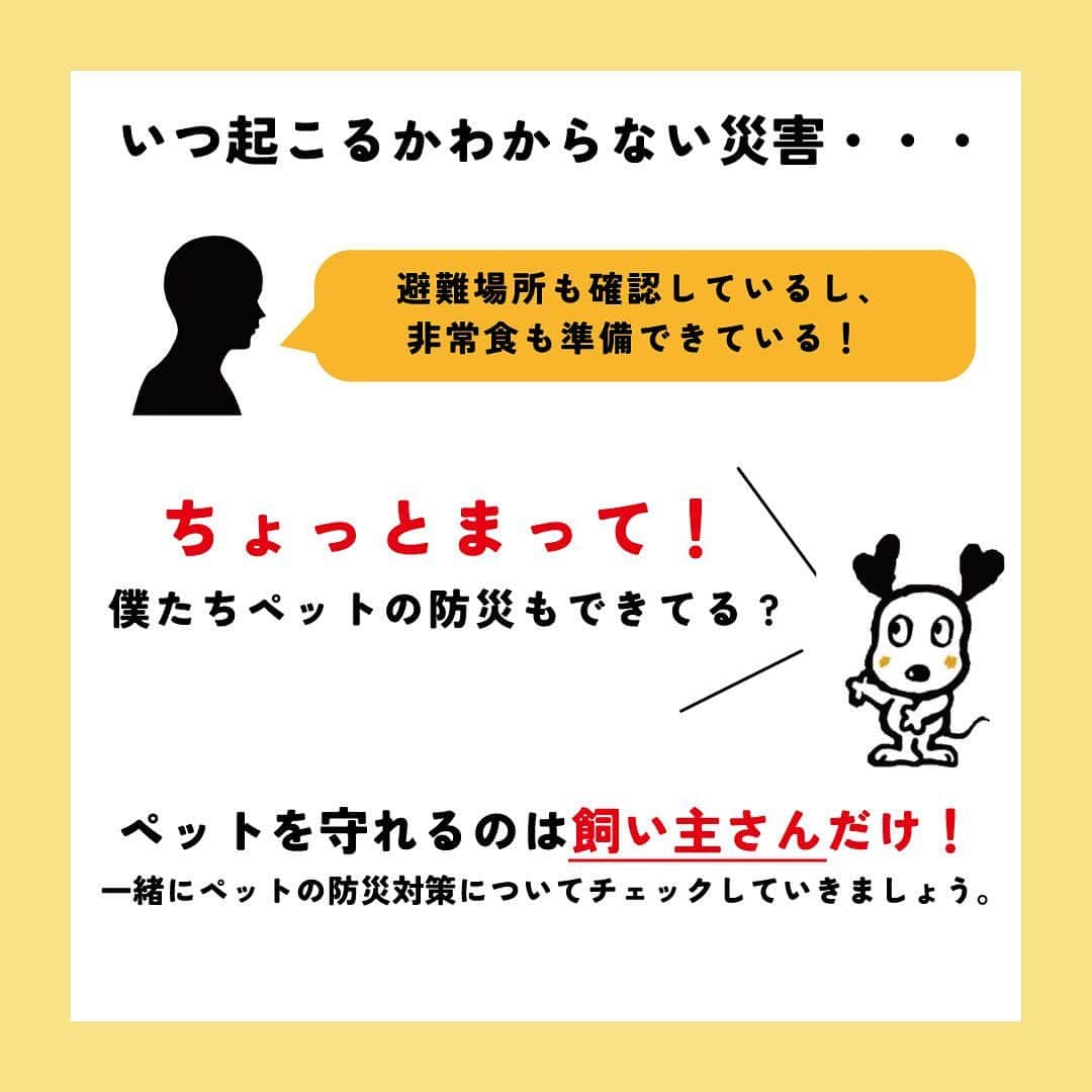 ライオン商事株式会社さんのインスタグラム写真 - (ライオン商事株式会社Instagram)「＼一緒に考えよう❗️犬の防災対策🐕／  災害時に愛犬を守れるのは飼い主さんだけ！ いつ起こるかわからない災害に備えて、ヒトだけでなく愛犬のための防災グッズや避難方法についても見直しておきましょう。👀  ※この投稿は、環境省の『災害、あなたとペットは大丈夫？人とペットの災害対策ガイドライン＜一般飼い主編＞』を参考引用して作成しています。 出典：環境省ホームページ（https://www.env.go.jp/）  ■備えておきたい愛犬の防災グッズ 一般的に3日～5日以上の避難生活に備えることが求められていますので、 愛犬と避難する場合でも、この期間を想定して準備しましょう。  ■同行避難と同伴避難 ペットを連れて避難するには同行（どうこう）避難と同伴（どうはん）避難があります。 飼い主さんは、事前に近隣の避難先にペットの受け入れ体制があるかを調べたり、 避難生活で発生するペットの問題に自分のペットが対応できるかを確認しておきましょう。  ■避難時のトラブルを防ぐために 平常時から下記のことを済ませておきましょう ・ケージや家具は固定し、落下や転倒を防止する ・ゲージやキャリーバッグに慣れさせておく ・「オスワリ」や「マテ」などの基本的なしつけを行う ・各種ワクチンの接種 ・犬フィラリアやノミ・マダニなどの寄生虫の駆除・予防 ・鑑札と狂犬病予防注射済票の装着（犬の場合） ・首輪と迷子札、マイクロチップの装着　など  ■急に預ける場合にも備える 災害時だけでなく、飼い主さんの急病時や入院時に 愛犬のお世話ができなくなる場合にも備えることも必要です。 すぐに愛犬を預けることができるように、知人や動物病院などへの預け先を確保しておきましょう。 また、預け先への衛生面に配慮し、日ごろから愛犬の体はシャンプーなどを使って清潔に保ちましょう。🧴✨  しっかりと備えておくことで、 いざという際に速やかに、 落ち着いて行動することができます😌  愛犬をどのように守り避難させるか、 非常用持ち出し袋や備蓄物資などについて日頃から家族と相談し、 災害に備えておくことが重要です。  この機会に、ご家庭の愛犬の防災対策を見直してみませんか？☘️🐶  #防災 #防災対策 #防災グッズ #ペット防災 #ペット防災グッズ #犬防災グッズ #犬防災 #3月11日 #犬 #犬のいる暮らし #いぬすたぐらむ #いぬ #いぬのいる暮らし #わんこ #わんこのいる生活 #しばいぬ #柴 #といぷーどる部 #トイプードル #チワワ #ちわわ大好き #犬部 #いぬ部 #いぬら部 #いぬのいる生活 #ペットキレイ #シュシュット @lion_pet_dog」3月11日 10時38分 - lion_pet_dog