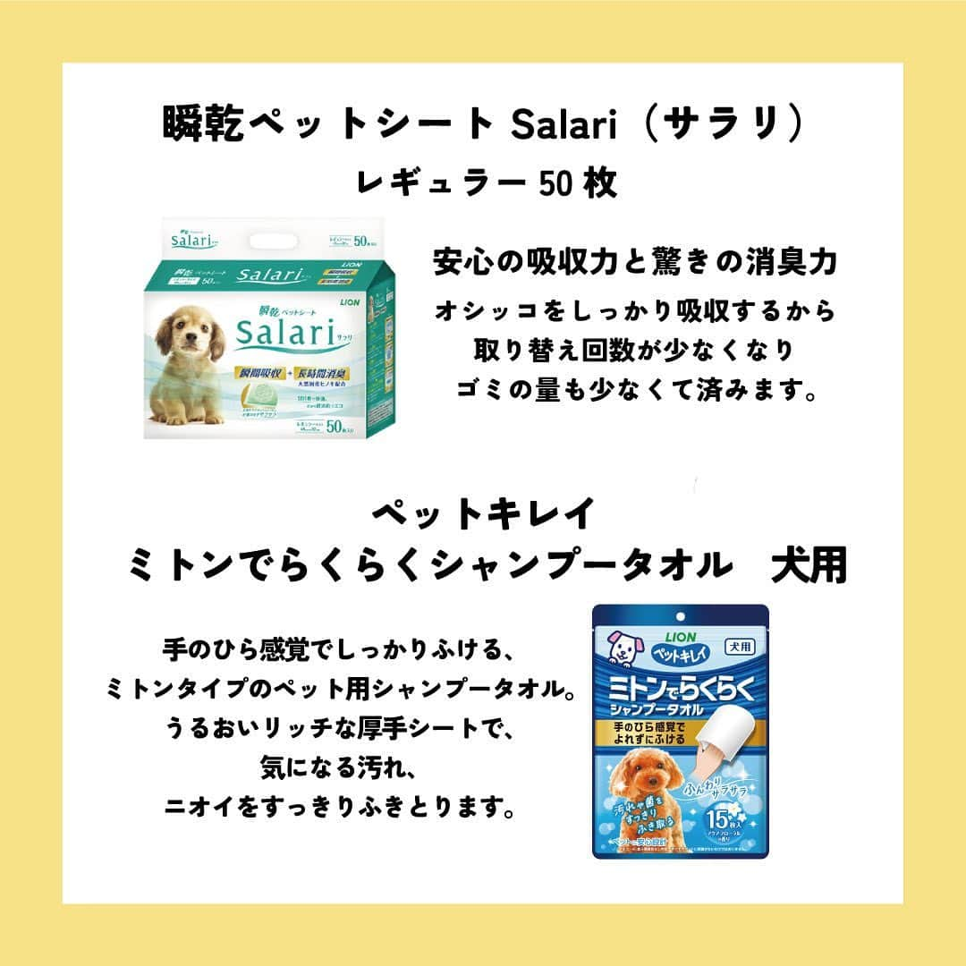 ライオン商事株式会社さんのインスタグラム写真 - (ライオン商事株式会社Instagram)「＼一緒に考えよう❗️犬の防災対策🐕／  災害時に愛犬を守れるのは飼い主さんだけ！ いつ起こるかわからない災害に備えて、ヒトだけでなく愛犬のための防災グッズや避難方法についても見直しておきましょう。👀  ※この投稿は、環境省の『災害、あなたとペットは大丈夫？人とペットの災害対策ガイドライン＜一般飼い主編＞』を参考引用して作成しています。 出典：環境省ホームページ（https://www.env.go.jp/）  ■備えておきたい愛犬の防災グッズ 一般的に3日～5日以上の避難生活に備えることが求められていますので、 愛犬と避難する場合でも、この期間を想定して準備しましょう。  ■同行避難と同伴避難 ペットを連れて避難するには同行（どうこう）避難と同伴（どうはん）避難があります。 飼い主さんは、事前に近隣の避難先にペットの受け入れ体制があるかを調べたり、 避難生活で発生するペットの問題に自分のペットが対応できるかを確認しておきましょう。  ■避難時のトラブルを防ぐために 平常時から下記のことを済ませておきましょう ・ケージや家具は固定し、落下や転倒を防止する ・ゲージやキャリーバッグに慣れさせておく ・「オスワリ」や「マテ」などの基本的なしつけを行う ・各種ワクチンの接種 ・犬フィラリアやノミ・マダニなどの寄生虫の駆除・予防 ・鑑札と狂犬病予防注射済票の装着（犬の場合） ・首輪と迷子札、マイクロチップの装着　など  ■急に預ける場合にも備える 災害時だけでなく、飼い主さんの急病時や入院時に 愛犬のお世話ができなくなる場合にも備えることも必要です。 すぐに愛犬を預けることができるように、知人や動物病院などへの預け先を確保しておきましょう。 また、預け先への衛生面に配慮し、日ごろから愛犬の体はシャンプーなどを使って清潔に保ちましょう。🧴✨  しっかりと備えておくことで、 いざという際に速やかに、 落ち着いて行動することができます😌  愛犬をどのように守り避難させるか、 非常用持ち出し袋や備蓄物資などについて日頃から家族と相談し、 災害に備えておくことが重要です。  この機会に、ご家庭の愛犬の防災対策を見直してみませんか？☘️🐶  #防災 #防災対策 #防災グッズ #ペット防災 #ペット防災グッズ #犬防災グッズ #犬防災 #3月11日 #犬 #犬のいる暮らし #いぬすたぐらむ #いぬ #いぬのいる暮らし #わんこ #わんこのいる生活 #しばいぬ #柴 #といぷーどる部 #トイプードル #チワワ #ちわわ大好き #犬部 #いぬ部 #いぬら部 #いぬのいる生活 #ペットキレイ #シュシュット @lion_pet_dog」3月11日 10時38分 - lion_pet_dog