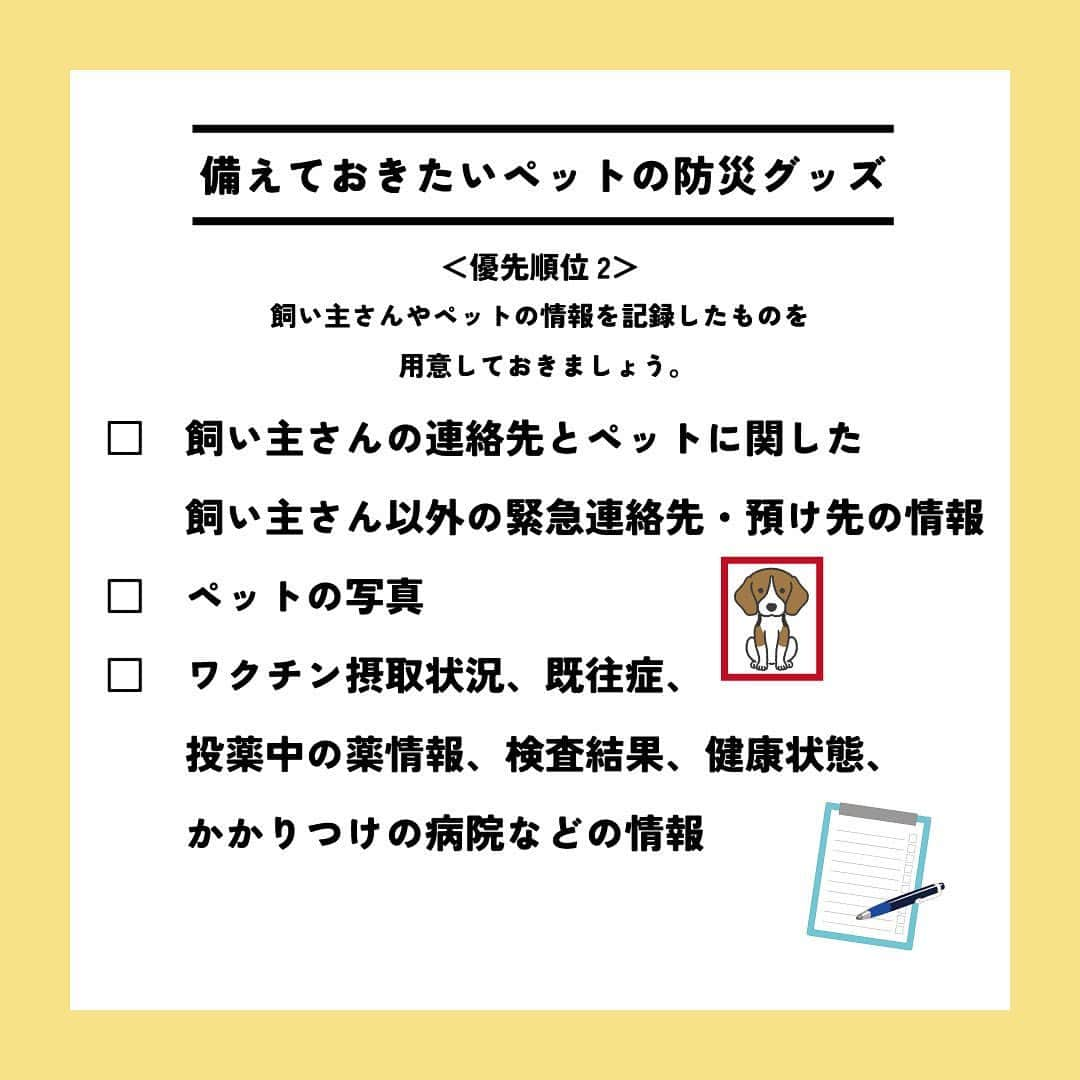 ライオン商事株式会社さんのインスタグラム写真 - (ライオン商事株式会社Instagram)「＼一緒に考えよう❗️犬の防災対策🐕／  災害時に愛犬を守れるのは飼い主さんだけ！ いつ起こるかわからない災害に備えて、ヒトだけでなく愛犬のための防災グッズや避難方法についても見直しておきましょう。👀  ※この投稿は、環境省の『災害、あなたとペットは大丈夫？人とペットの災害対策ガイドライン＜一般飼い主編＞』を参考引用して作成しています。 出典：環境省ホームページ（https://www.env.go.jp/）  ■備えておきたい愛犬の防災グッズ 一般的に3日～5日以上の避難生活に備えることが求められていますので、 愛犬と避難する場合でも、この期間を想定して準備しましょう。  ■同行避難と同伴避難 ペットを連れて避難するには同行（どうこう）避難と同伴（どうはん）避難があります。 飼い主さんは、事前に近隣の避難先にペットの受け入れ体制があるかを調べたり、 避難生活で発生するペットの問題に自分のペットが対応できるかを確認しておきましょう。  ■避難時のトラブルを防ぐために 平常時から下記のことを済ませておきましょう ・ケージや家具は固定し、落下や転倒を防止する ・ゲージやキャリーバッグに慣れさせておく ・「オスワリ」や「マテ」などの基本的なしつけを行う ・各種ワクチンの接種 ・犬フィラリアやノミ・マダニなどの寄生虫の駆除・予防 ・鑑札と狂犬病予防注射済票の装着（犬の場合） ・首輪と迷子札、マイクロチップの装着　など  ■急に預ける場合にも備える 災害時だけでなく、飼い主さんの急病時や入院時に 愛犬のお世話ができなくなる場合にも備えることも必要です。 すぐに愛犬を預けることができるように、知人や動物病院などへの預け先を確保しておきましょう。 また、預け先への衛生面に配慮し、日ごろから愛犬の体はシャンプーなどを使って清潔に保ちましょう。🧴✨  しっかりと備えておくことで、 いざという際に速やかに、 落ち着いて行動することができます😌  愛犬をどのように守り避難させるか、 非常用持ち出し袋や備蓄物資などについて日頃から家族と相談し、 災害に備えておくことが重要です。  この機会に、ご家庭の愛犬の防災対策を見直してみませんか？☘️🐶  #防災 #防災対策 #防災グッズ #ペット防災 #ペット防災グッズ #犬防災グッズ #犬防災 #3月11日 #犬 #犬のいる暮らし #いぬすたぐらむ #いぬ #いぬのいる暮らし #わんこ #わんこのいる生活 #しばいぬ #柴 #といぷーどる部 #トイプードル #チワワ #ちわわ大好き #犬部 #いぬ部 #いぬら部 #いぬのいる生活 #ペットキレイ #シュシュット @lion_pet_dog」3月11日 10時38分 - lion_pet_dog