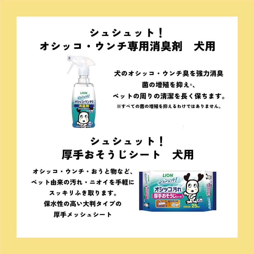 ライオン商事株式会社さんのインスタグラム写真 - (ライオン商事株式会社Instagram)「＼一緒に考えよう❗️犬の防災対策🐕／  災害時に愛犬を守れるのは飼い主さんだけ！ いつ起こるかわからない災害に備えて、ヒトだけでなく愛犬のための防災グッズや避難方法についても見直しておきましょう。👀  ※この投稿は、環境省の『災害、あなたとペットは大丈夫？人とペットの災害対策ガイドライン＜一般飼い主編＞』を参考引用して作成しています。 出典：環境省ホームページ（https://www.env.go.jp/）  ■備えておきたい愛犬の防災グッズ 一般的に3日～5日以上の避難生活に備えることが求められていますので、 愛犬と避難する場合でも、この期間を想定して準備しましょう。  ■同行避難と同伴避難 ペットを連れて避難するには同行（どうこう）避難と同伴（どうはん）避難があります。 飼い主さんは、事前に近隣の避難先にペットの受け入れ体制があるかを調べたり、 避難生活で発生するペットの問題に自分のペットが対応できるかを確認しておきましょう。  ■避難時のトラブルを防ぐために 平常時から下記のことを済ませておきましょう ・ケージや家具は固定し、落下や転倒を防止する ・ゲージやキャリーバッグに慣れさせておく ・「オスワリ」や「マテ」などの基本的なしつけを行う ・各種ワクチンの接種 ・犬フィラリアやノミ・マダニなどの寄生虫の駆除・予防 ・鑑札と狂犬病予防注射済票の装着（犬の場合） ・首輪と迷子札、マイクロチップの装着　など  ■急に預ける場合にも備える 災害時だけでなく、飼い主さんの急病時や入院時に 愛犬のお世話ができなくなる場合にも備えることも必要です。 すぐに愛犬を預けることができるように、知人や動物病院などへの預け先を確保しておきましょう。 また、預け先への衛生面に配慮し、日ごろから愛犬の体はシャンプーなどを使って清潔に保ちましょう。🧴✨  しっかりと備えておくことで、 いざという際に速やかに、 落ち着いて行動することができます😌  愛犬をどのように守り避難させるか、 非常用持ち出し袋や備蓄物資などについて日頃から家族と相談し、 災害に備えておくことが重要です。  この機会に、ご家庭の愛犬の防災対策を見直してみませんか？☘️🐶  #防災 #防災対策 #防災グッズ #ペット防災 #ペット防災グッズ #犬防災グッズ #犬防災 #3月11日 #犬 #犬のいる暮らし #いぬすたぐらむ #いぬ #いぬのいる暮らし #わんこ #わんこのいる生活 #しばいぬ #柴 #といぷーどる部 #トイプードル #チワワ #ちわわ大好き #犬部 #いぬ部 #いぬら部 #いぬのいる生活 #ペットキレイ #シュシュット @lion_pet_dog」3月11日 10時38分 - lion_pet_dog