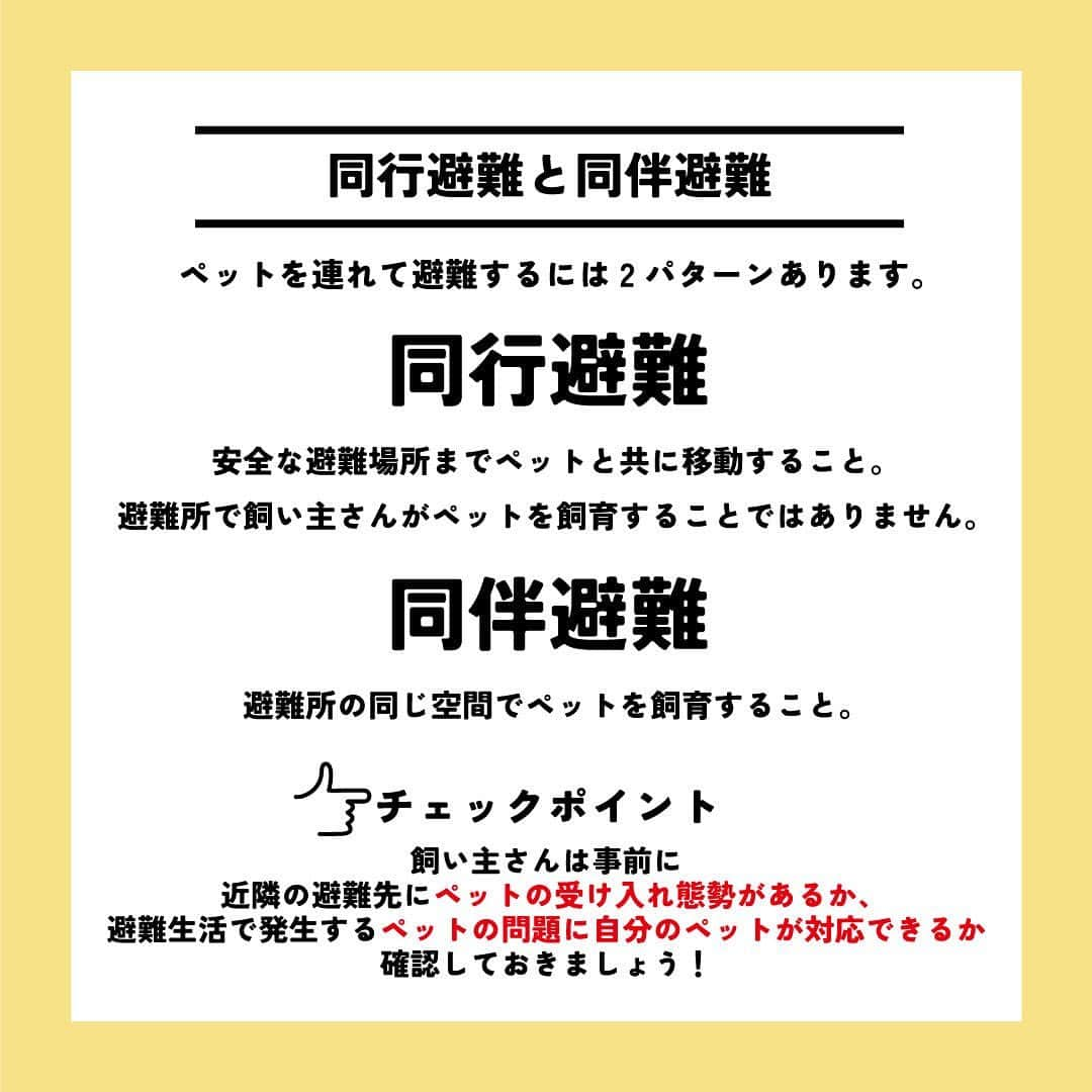 ライオン商事株式会社さんのインスタグラム写真 - (ライオン商事株式会社Instagram)「＼一緒に考えよう❗️犬の防災対策🐕／  災害時に愛犬を守れるのは飼い主さんだけ！ いつ起こるかわからない災害に備えて、ヒトだけでなく愛犬のための防災グッズや避難方法についても見直しておきましょう。👀  ※この投稿は、環境省の『災害、あなたとペットは大丈夫？人とペットの災害対策ガイドライン＜一般飼い主編＞』を参考引用して作成しています。 出典：環境省ホームページ（https://www.env.go.jp/）  ■備えておきたい愛犬の防災グッズ 一般的に3日～5日以上の避難生活に備えることが求められていますので、 愛犬と避難する場合でも、この期間を想定して準備しましょう。  ■同行避難と同伴避難 ペットを連れて避難するには同行（どうこう）避難と同伴（どうはん）避難があります。 飼い主さんは、事前に近隣の避難先にペットの受け入れ体制があるかを調べたり、 避難生活で発生するペットの問題に自分のペットが対応できるかを確認しておきましょう。  ■避難時のトラブルを防ぐために 平常時から下記のことを済ませておきましょう ・ケージや家具は固定し、落下や転倒を防止する ・ゲージやキャリーバッグに慣れさせておく ・「オスワリ」や「マテ」などの基本的なしつけを行う ・各種ワクチンの接種 ・犬フィラリアやノミ・マダニなどの寄生虫の駆除・予防 ・鑑札と狂犬病予防注射済票の装着（犬の場合） ・首輪と迷子札、マイクロチップの装着　など  ■急に預ける場合にも備える 災害時だけでなく、飼い主さんの急病時や入院時に 愛犬のお世話ができなくなる場合にも備えることも必要です。 すぐに愛犬を預けることができるように、知人や動物病院などへの預け先を確保しておきましょう。 また、預け先への衛生面に配慮し、日ごろから愛犬の体はシャンプーなどを使って清潔に保ちましょう。🧴✨  しっかりと備えておくことで、 いざという際に速やかに、 落ち着いて行動することができます😌  愛犬をどのように守り避難させるか、 非常用持ち出し袋や備蓄物資などについて日頃から家族と相談し、 災害に備えておくことが重要です。  この機会に、ご家庭の愛犬の防災対策を見直してみませんか？☘️🐶  #防災 #防災対策 #防災グッズ #ペット防災 #ペット防災グッズ #犬防災グッズ #犬防災 #3月11日 #犬 #犬のいる暮らし #いぬすたぐらむ #いぬ #いぬのいる暮らし #わんこ #わんこのいる生活 #しばいぬ #柴 #といぷーどる部 #トイプードル #チワワ #ちわわ大好き #犬部 #いぬ部 #いぬら部 #いぬのいる生活 #ペットキレイ #シュシュット @lion_pet_dog」3月11日 10時38分 - lion_pet_dog