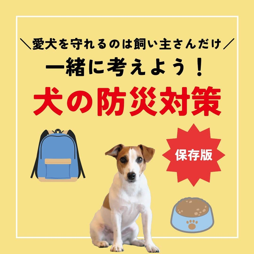 ライオン商事株式会社のインスタグラム：「＼一緒に考えよう❗️犬の防災対策🐕／  災害時に愛犬を守れるのは飼い主さんだけ！ いつ起こるかわからない災害に備えて、ヒトだけでなく愛犬のための防災グッズや避難方法についても見直しておきましょう。👀  ※この投稿は、環境省の『災害、あなたとペットは大丈夫？人とペットの災害対策ガイドライン＜一般飼い主編＞』を参考引用して作成しています。 出典：環境省ホームページ（https://www.env.go.jp/）  ■備えておきたい愛犬の防災グッズ 一般的に3日～5日以上の避難生活に備えることが求められていますので、 愛犬と避難する場合でも、この期間を想定して準備しましょう。  ■同行避難と同伴避難 ペットを連れて避難するには同行（どうこう）避難と同伴（どうはん）避難があります。 飼い主さんは、事前に近隣の避難先にペットの受け入れ体制があるかを調べたり、 避難生活で発生するペットの問題に自分のペットが対応できるかを確認しておきましょう。  ■避難時のトラブルを防ぐために 平常時から下記のことを済ませておきましょう ・ケージや家具は固定し、落下や転倒を防止する ・ゲージやキャリーバッグに慣れさせておく ・「オスワリ」や「マテ」などの基本的なしつけを行う ・各種ワクチンの接種 ・犬フィラリアやノミ・マダニなどの寄生虫の駆除・予防 ・鑑札と狂犬病予防注射済票の装着（犬の場合） ・首輪と迷子札、マイクロチップの装着　など  ■急に預ける場合にも備える 災害時だけでなく、飼い主さんの急病時や入院時に 愛犬のお世話ができなくなる場合にも備えることも必要です。 すぐに愛犬を預けることができるように、知人や動物病院などへの預け先を確保しておきましょう。 また、預け先への衛生面に配慮し、日ごろから愛犬の体はシャンプーなどを使って清潔に保ちましょう。🧴✨  しっかりと備えておくことで、 いざという際に速やかに、 落ち着いて行動することができます😌  愛犬をどのように守り避難させるか、 非常用持ち出し袋や備蓄物資などについて日頃から家族と相談し、 災害に備えておくことが重要です。  この機会に、ご家庭の愛犬の防災対策を見直してみませんか？☘️🐶  #防災 #防災対策 #防災グッズ #ペット防災 #ペット防災グッズ #犬防災グッズ #犬防災 #3月11日 #犬 #犬のいる暮らし #いぬすたぐらむ #いぬ #いぬのいる暮らし #わんこ #わんこのいる生活 #しばいぬ #柴 #といぷーどる部 #トイプードル #チワワ #ちわわ大好き #犬部 #いぬ部 #いぬら部 #いぬのいる生活 #ペットキレイ #シュシュット @lion_pet_dog」