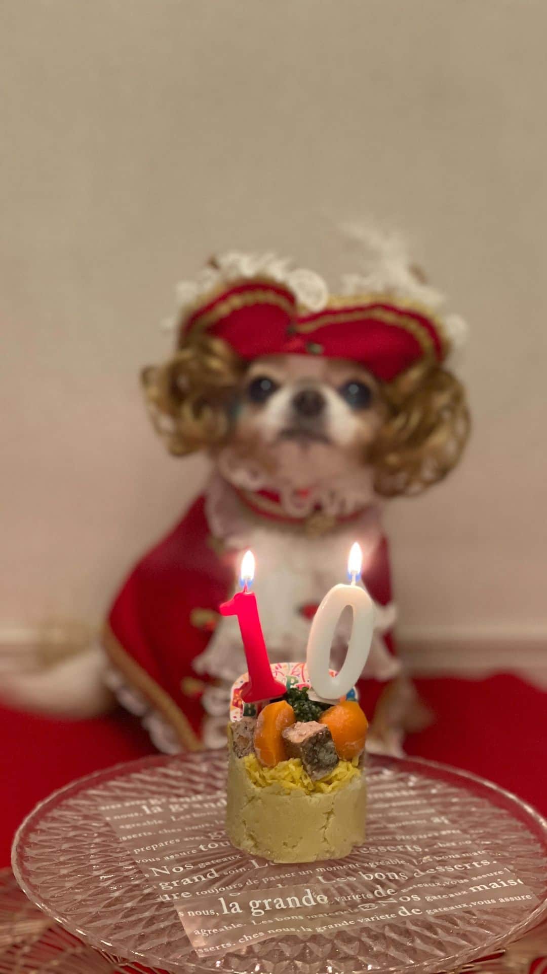 玉ねぎ戦士のインスタグラム：「⁑  You are the reason why my life is so beautiful.  Happy birthday darling. ❤️  タラオが私の人生にいてくれて本当に良かった✨ 一緒に暮らしてから色んな感情が生まれて今はこんなに愛しい存在がいるのかって気持ちでいっぱいだよ🐔 頼むから長生きしてね！今日は食べ放題だよ🎂  #今日はブタになっても許す #happybirthday」