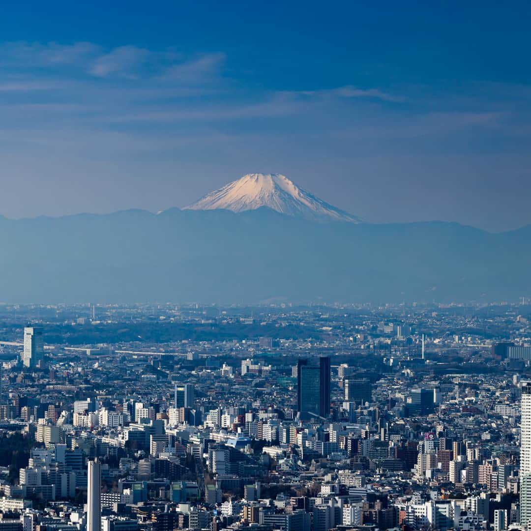 Tokyo City View 六本木ヒルズ展望台さんのインスタグラム写真 - (Tokyo City View 六本木ヒルズ展望台Instagram)「🌟3/12（日）まで！ 「東京シティビュー＋スカイデッキ」 お得なセット券を販売中 屋内の吹き抜け空間、東京シティビューと、屋上のオープンエアが心地よいスカイデッキの、2つの展望台をお得にお楽しみいただけます。  「東京シティビュー＋スカイデッキ」セット券 期間：2/28（火）～3/12（日） 入場エリア：東京シティビュー（屋内展望台）、スカイデッキ（屋上展望台） 料金： ＜休日・窓口＞ 一般 2,200円、高校・大学生 1,400円、4歳～中学生 800円、シニア（65歳以上） 1,900円 ※当日窓口のみで販売。 ※東京シティビューは一部（展望台中央・富士山方面）通行できません。 ※スカイデッキは天候不良時クローズ。 詳細：https://tcv.roppongihills.com/jp/news/2023/02/6344/  撮影：荒谷良一  #六本木ヒルズ展望台 #スカイデッキ #東京シティビュー #富士山 #展望台 #絶景 #景色 #荒谷良一 #RoppongiHillsObservation #skydeck #TokyoCityView #FujiMountain #TCV #Tokyo #japantravel #tokyo #roppongi #RyoichiAratani #travelgram #japantrip #japan_daytime_view #japan_of_insta #bestjapanpics #tokyomuseum #artoftheday」3月11日 11時05分 - tokyocityview