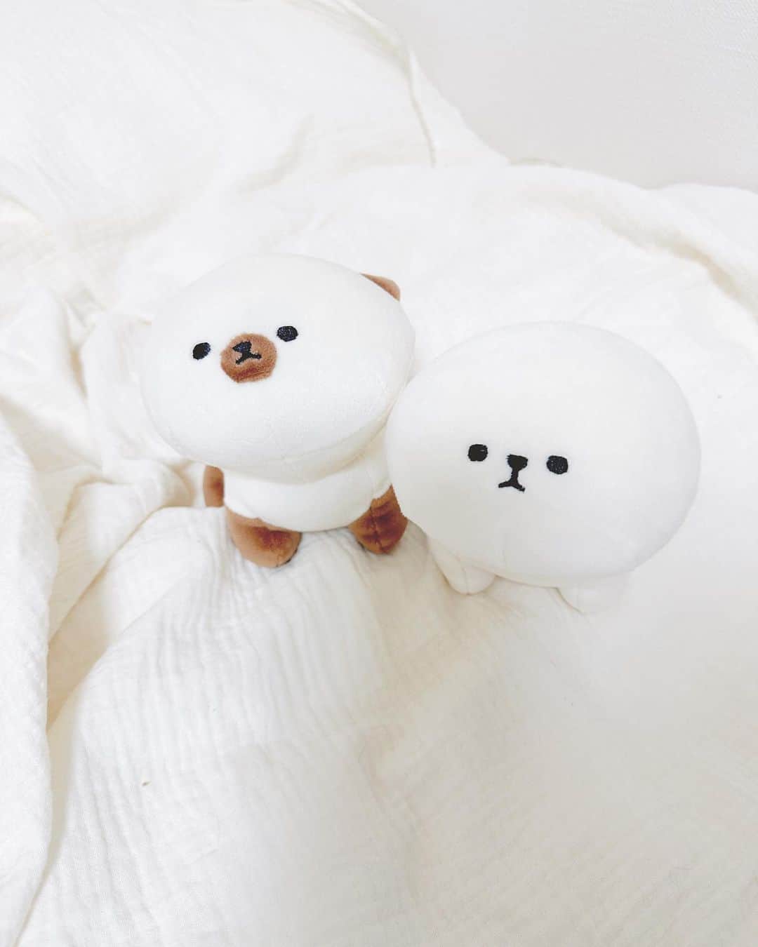 池田沙代のインスタグラム：「🫶🏻 かわいい🥺🤍癒  #PLUFFY のポップアップイベントに 行って、🏠に来た子たち🥺🤍 @lbc_official_  @pluffy_family_lifestyle   ▫️PLUFFFY・Siammyのテノリマスコット ▫️ぬいぐるみ用かぶりもの  ぴのさんもお気に入りで遊んでた🤣  イベントではもっといろんな種類がいて かわいくて癒されました🥺🤍 スワイプしてね⏩ 果物シリーズ可愛すぎ🍍🍉🍇🍈  ぬいぐるみ、もちもちでずっと触っちゃう🥺✌️  #pluffy#lbc_23ss_pluffyevent#lbc#siammy#pluffy_family_lifestyle #ぬい活#ぬい撮り#ビションフリーゼ#いぬすたぐらむ」