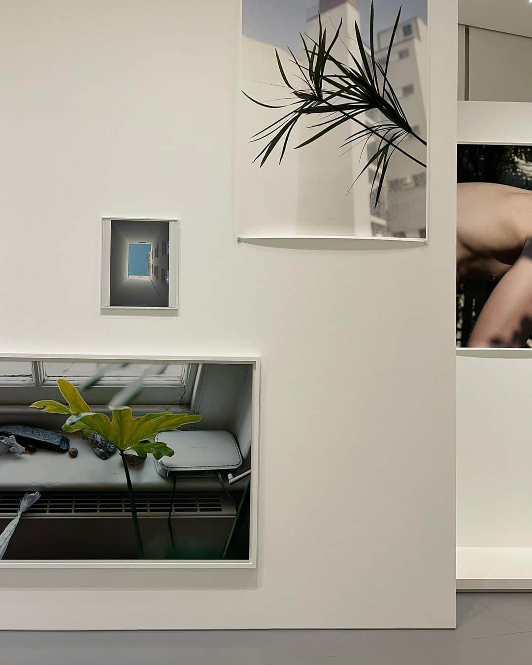 大屋夏南のインスタグラム：「Wolfgang Tillmans - Moments of life at Espace Louis Vuitton  Frank OceanのBlondeのアルバムカバーを撮ったフォトグラファーの展示がやってたので行ってきた。 やっぱこのギャラリー天井が高くて気持ちいいんだよな。 自分が小さくなった気分になって、なんかやる気でる。」