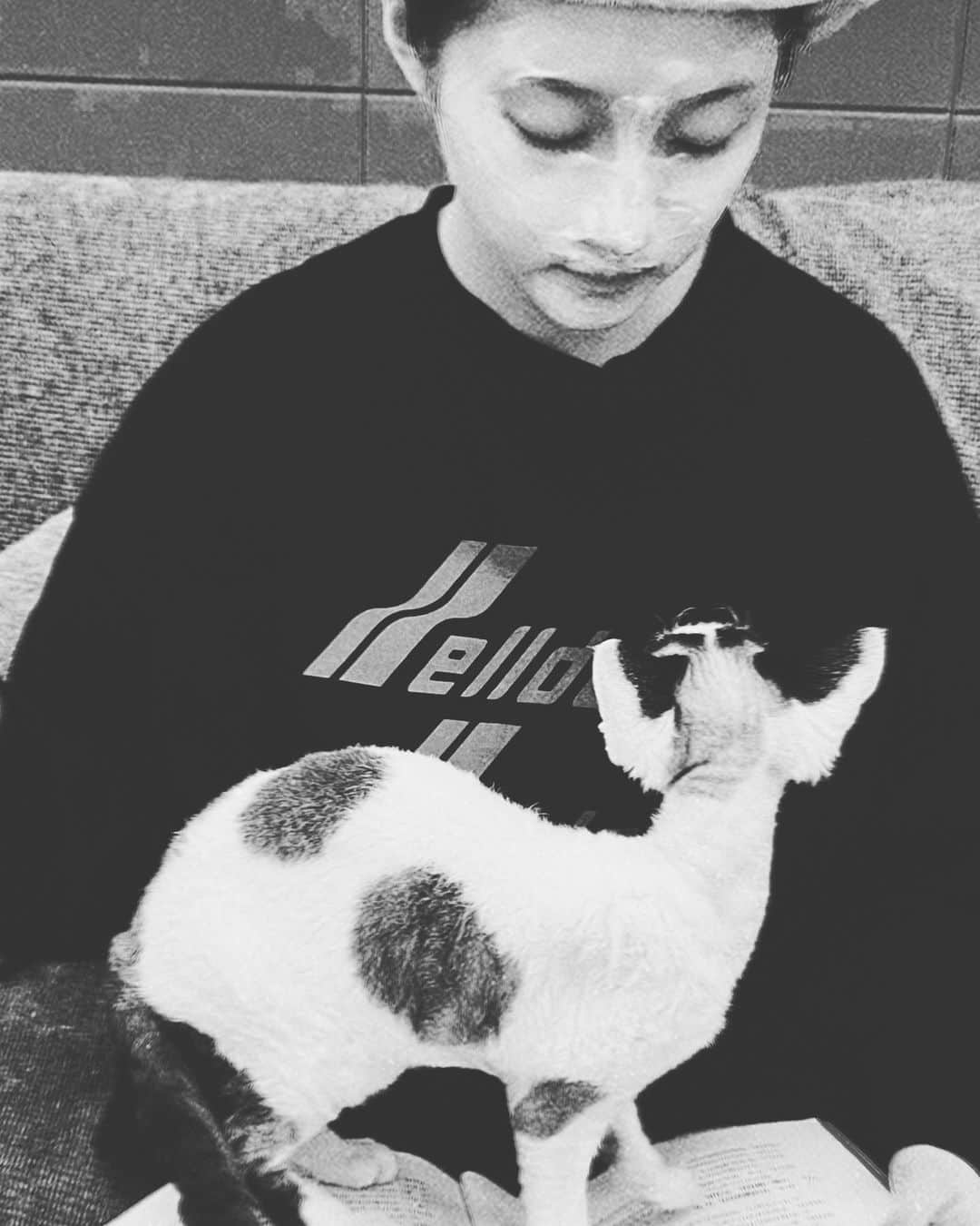 クアン・シャオトン（Guan Xiaotong）さんのインスタグラム写真 - (クアン・シャオトン（Guan Xiaotong）Instagram)「不让我好好看剧本的猫🐱…… 让我翻开剧本好吗…宝贝们……」3月12日 1時23分 - stronger917