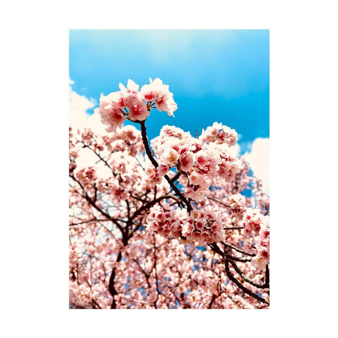 神田莉緒香さんのインスタグラム写真 - (神田莉緒香Instagram)「--- 春支度を始めています。 みんなはどう？  . #🌸🌸🌸」3月11日 17時31分 - riokanda_ri