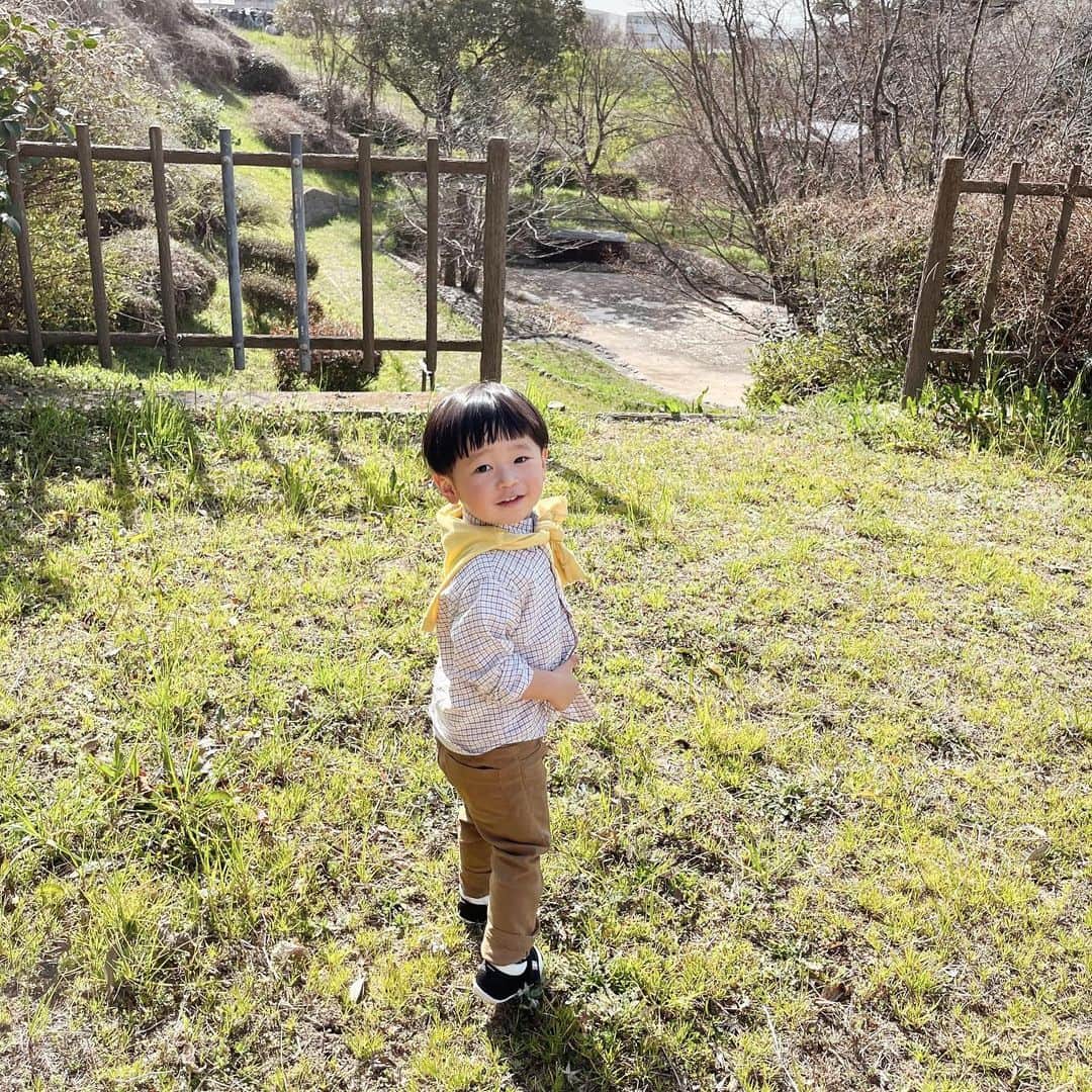 のインスタグラム：「* * * ついにきた。 虫ブーム。🐞🐜🪲 * 『 むしさんどこいったー 』 『 むしさーん🗣 』 ってずっと探してた😂🐜 * * 虫だけはどうしても慣れない、さわれない無理😅 でもいつかせみ採りにいこ〜 とか言われるんやろうなぁ、、、😂 慣れるコツ教えてくださいw * * * #男の子ママの宿命  #虫ブーム  #男の子ママ #2歳男の子 #2歳4ヶ月」