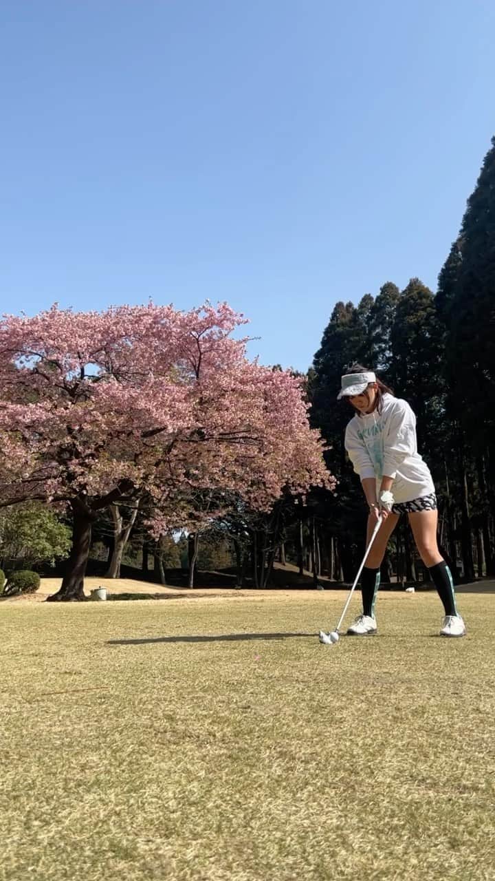 山内鈴蘭のインスタグラム：「桜がとっても綺麗だった☺️🌸 四季を楽しむのもゴルフの大きな醍醐味の一つだよね♡♡♡  ※打った後の左足がぐらっとしてるのは 見なかったことにしてください。笑  #ゴルフ #ゴルフ動画 #ゴルフショット #ゴルフスイング #ゴルフスイング動画 #アイアンショット #ゴルフウェア #gorurun #山田ゴルフ倶楽部 #パーカーコーデ #パーカー好き #ゴルフ女子 #ゴルフ女子コーデ」