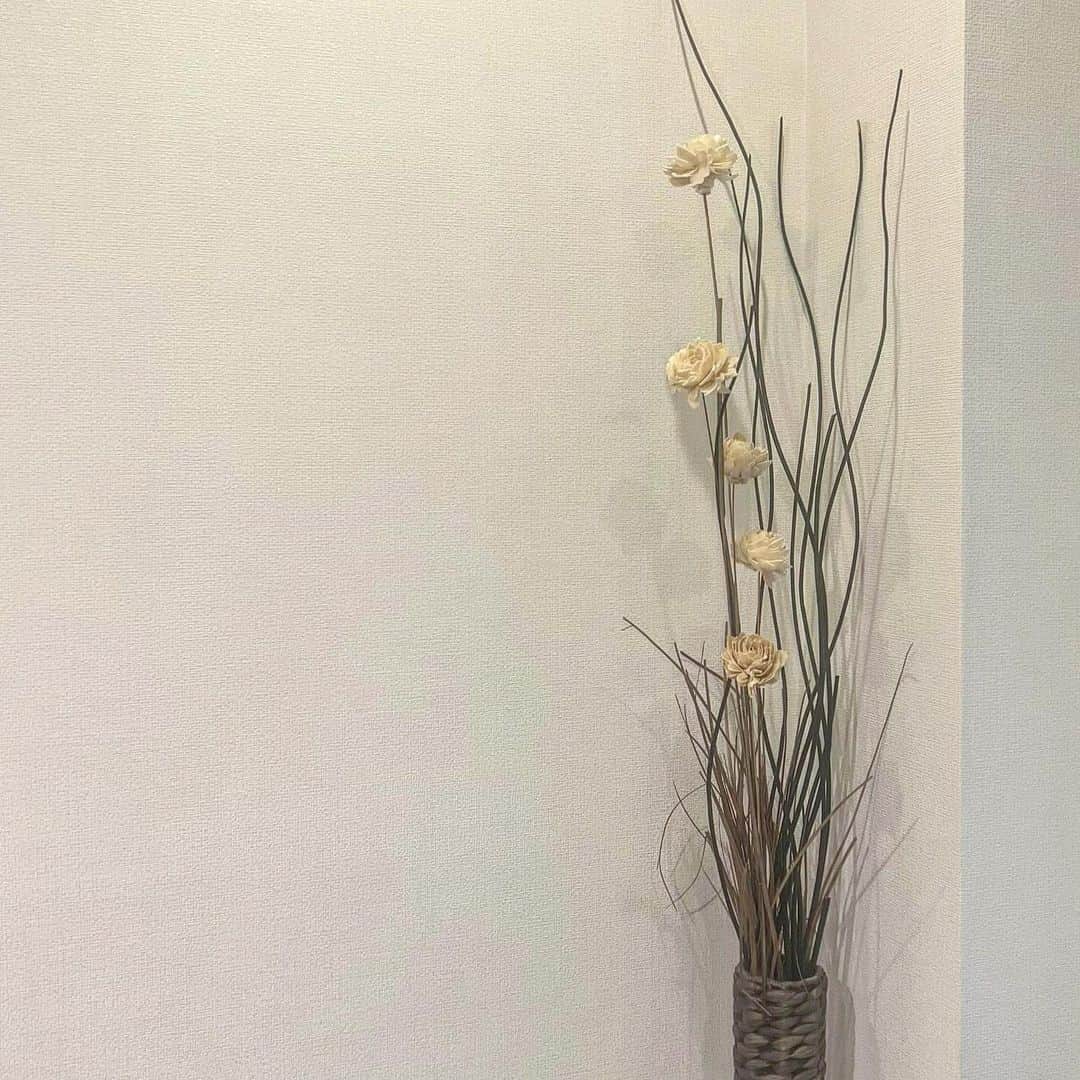 実熊瑠琉さんのインスタグラム写真 - (実熊瑠琉Instagram)「今年はお花見行きたい。」3月11日 18時23分 - ruru_mikuma
