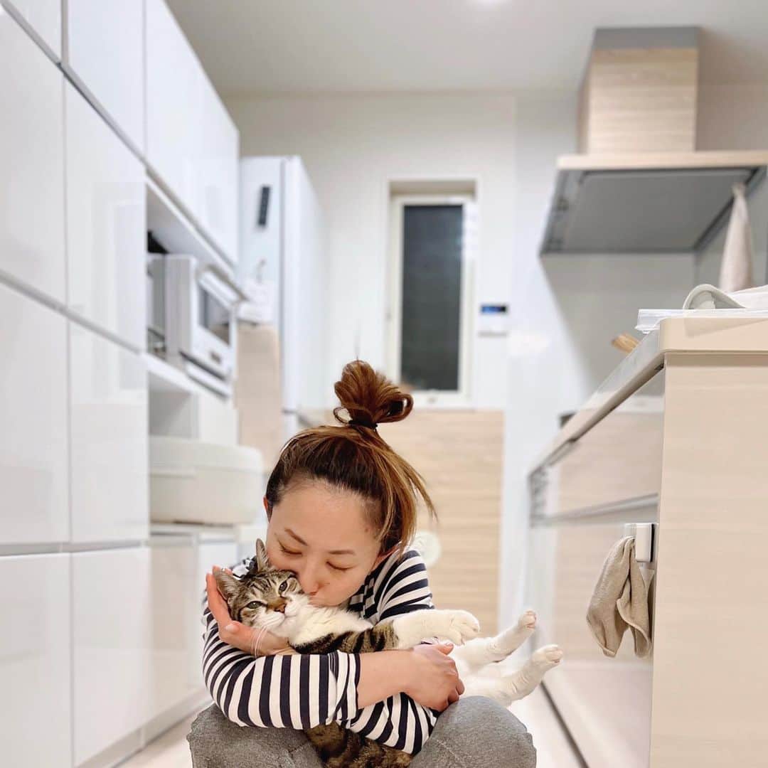 korokoronyaのインスタグラム：「✻*∗ 11 Mar, 2023  3.11  12 years have passed since the Great East Japan Earthquake. Mame-chan also experienced the Great East Japan Earthquake.   We must never forget this day. * マメちゃんは私と3.11を経験しました。 東北に比べたら東京なんて全然でしたけど、 それでも怖かったです。 日本に住んでいる限り地震は避けられないけど… もうあんな怖い思いはしたくないよね。みんな。 * #mame_koronya」
