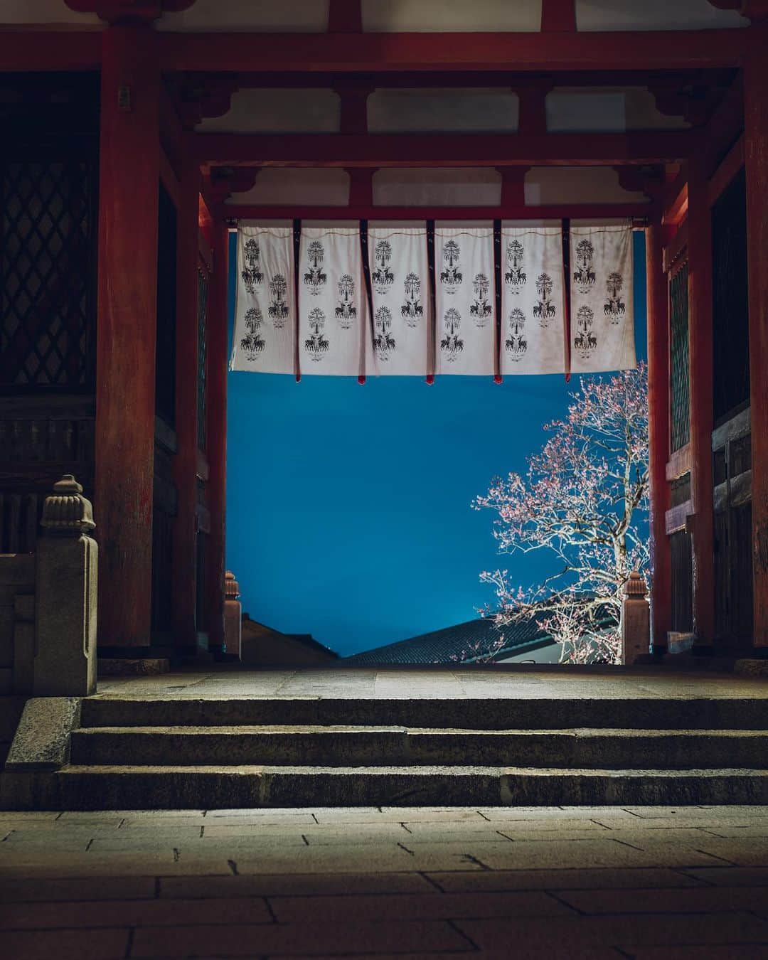 のインスタグラム：「Special night viewing | 清水寺 春の夜間特別拝観  夜桜と光に彩られた清水寺。美しい景色が皆様のお心の癒しとなれば幸いです。  Spring: Open until 9:30 p.m. (9:00 p.m. last entry), March.25 – April.2  実施期間：3月25日（土）～4月2日（日） 拝観時間：午後6時～午後9時 受付終了＊予約の必要はございません。 拝観料：大人400円／小・中学生200円  協力：清水寺門前会　茶わん坂繁栄会　清水寺御用達会」