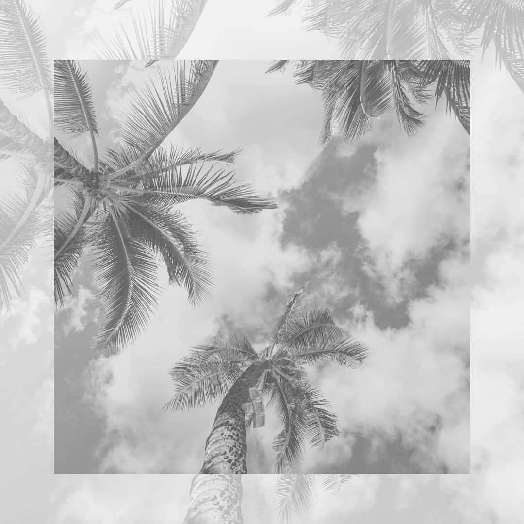 のインスタグラム：「. 　　　　　　　　　　　　　　　　　　　　　　　　　　　　　. 　　　　　　　　　　　　　　　　　　　　　　　　　　　　　. 【価格/効果/痛み】 最高のパフォーマンスでお届け致します🕊✨  "安いけど効果はイマイチ" "効果はあるけど、高くて痛い"  そのような事がないよう  "皆様と同じ美容を愛する立場として"  ご満足頂けるよう、 お客様に寄り添ったサービスを心がけております😌  　　　　　　　　　　　　　　　　　　　　　　　　　　　　　.  ------------------------------------------------------------ 【OPEN】    AM9:00〜PM9:00 ✴︎営業日によって異なります  　　　　　　　　　　　　　　　　　　　　　　　　　　　　　. 【CLOSE】    不定休  ------------------------------------------------------------ 　　　　　　　　　　　　　　　　　　　　　　　　　　　　　  #hahahawhiteninggym  #セルフホワイトニング  #ホワイトニングサロン  #ホワイトニング専門店  #ホワイトニング  #渋谷ホワイトニング  #恵比寿ホワイトニング  #恵比寿セルフホワイトニング」