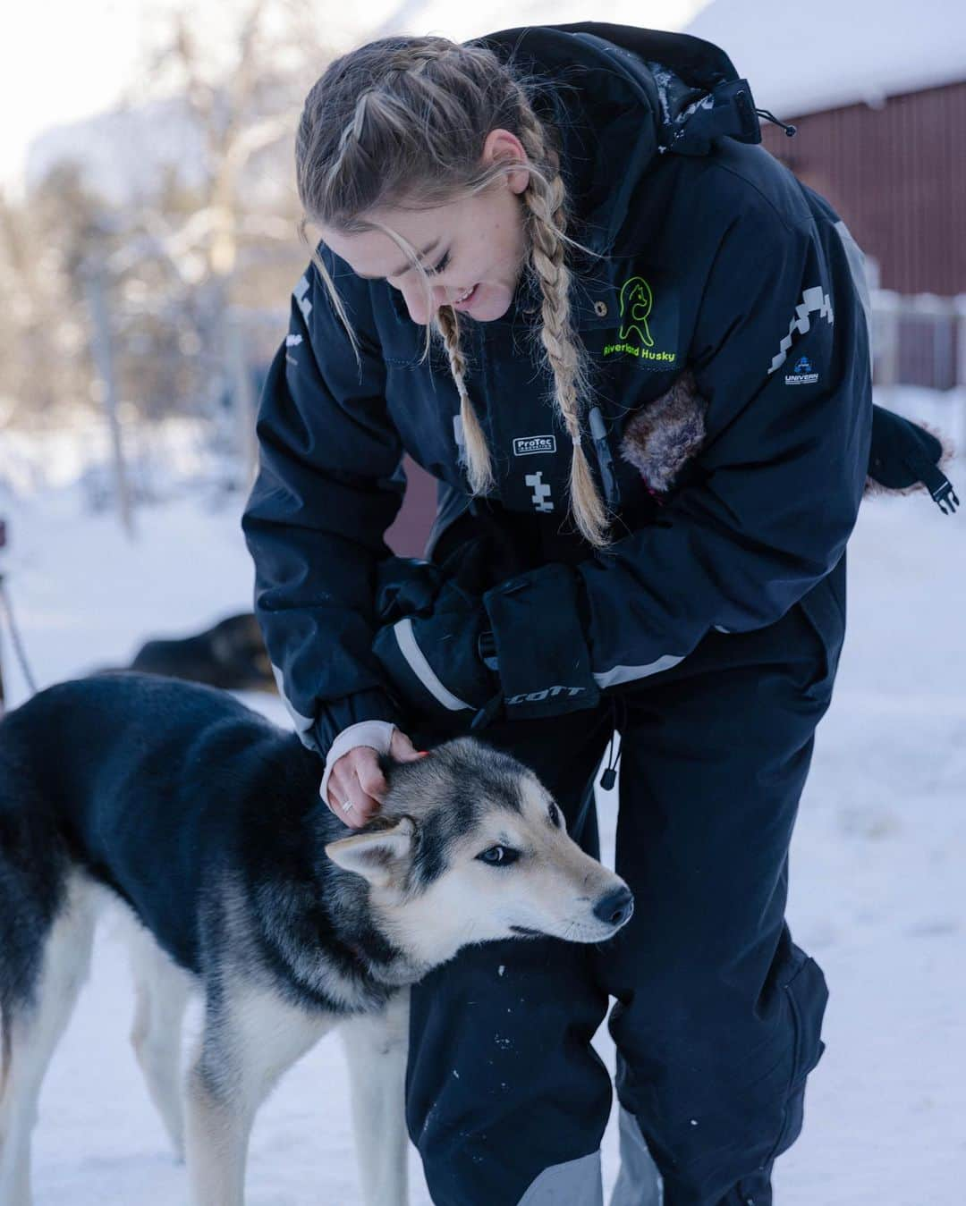 リサンネ・デ・ウィッテさんのインスタグラム写真 - (リサンネ・デ・ウィッテInstagram)「Yesterday was the perfect day! Wanted to go Husky Sledding for so long and we finally did! @danvernonphoto booked it for my 30th birthday half a year ago and it couldn’t have been better 🤍🐶 It’s incredibly fun, if you ever get the chance to do it, do it!   📸: @danvernonphoto」3月11日 20時10分 - lisannedewitte