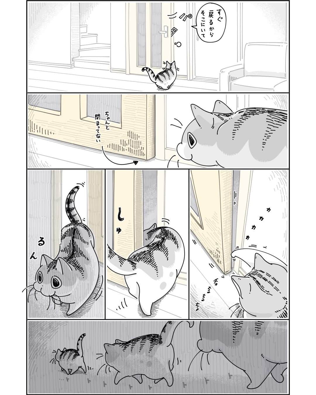 キュルZさんのインスタグラム写真 - (キュルZInstagram)「ドアをこじ開けるネコ  #キュルガ #夜は猫といっしょ #猫 #cat #猫漫画 #猫のいる暮らし」3月11日 20時03分 - kyuryuz