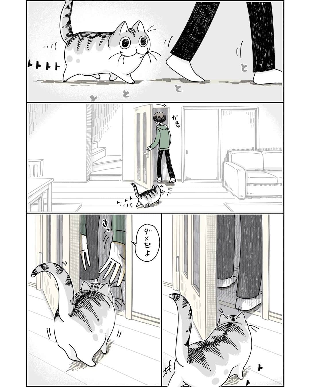 キュルZのインスタグラム：「ドアをこじ開けるネコ  #キュルガ #夜は猫といっしょ #猫 #cat #猫漫画 #猫のいる暮らし」