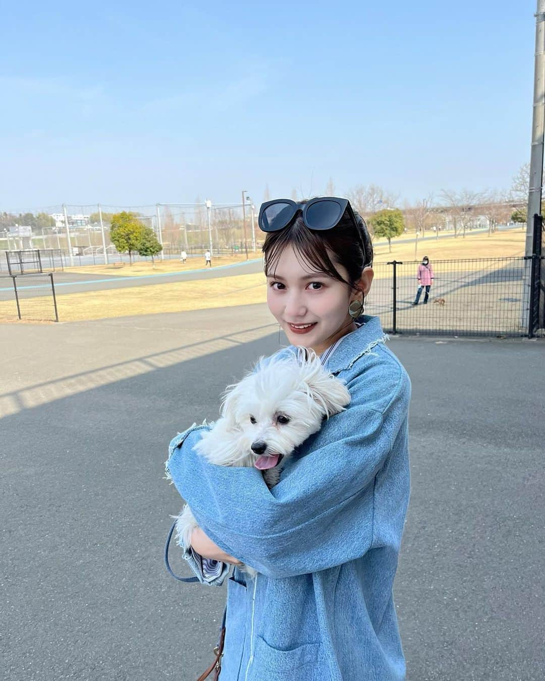 新井遥さんのインスタグラム写真 - (新井遥Instagram)「＾ この前初のドッグランへ🐩🤍 ずっと後くっついてきてかわいかった…♡  たくさん走ったから髪の毛ボサボサ🥺 帰りヘトヘトになっちゃったみたいでずっと舌だしてた笑」3月11日 20時50分 - haruka_arai_ar