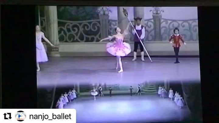 舞花くるみのインスタグラム：「私の原点であるバレエ教室。 昔、リラの精をさせて頂いた時の映像を投稿して下さったので、リポストさせて頂きます🧚‍♀️💕 もう何十年前もですが。。。笑  懐かしい🥹  #Repost @nanjo_ballet with @use.repost ・・・ 昨日の「歴代のリラの精」の3人よりも、更に先輩リラの精の動画を見つけました。 舞花くるみさん。当研究所卒業後は、憧れの宝塚ジェンヌとして8年間舞台に立ち、退団後はUSJのパレードやショーでダンサーを務め、今は子ども向けテーマパークでMCとして活躍されています。（幸せなママさんでもあります💕）  小さい頃に憧れていた「リラのお姉さん」は、その更に先輩の「リラのお姉さん」に憧れて育ち、その先輩も更に前の先輩に憧れ…。 数十年の歴史の中で、こうして1つの役が各世代で受け継がれていくこと、改めて考えてみると感慨深いですね✨  #南条幸子バレエ研究所 #眠れる森の美女#リラの精 #宝塚音楽学校#宝塚歌劇団 #タカラジェンヌ#舞花くるみ #バレエ卒業生#沖縄バレエ」