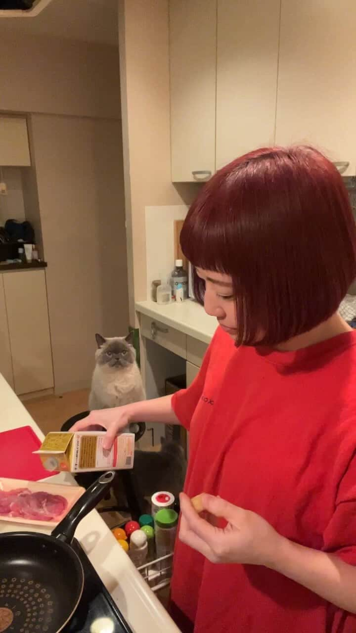 小鳥遊しほのインスタグラム：「猫と酒と料理とだべりのゆるり配信🐈‍⬛🍺🌶️最初のうちの真顔コメントチェック時間が相変わらずなんかウケる😂ww  アーカイブ！しばらくしたら消すかも？とりあえず残す！ またやるねーーー🫑 ゆるりと見に来てね〜😚  #ライブ配信 #料理動画 #猫のいる暮らし  #酒のつまみ」