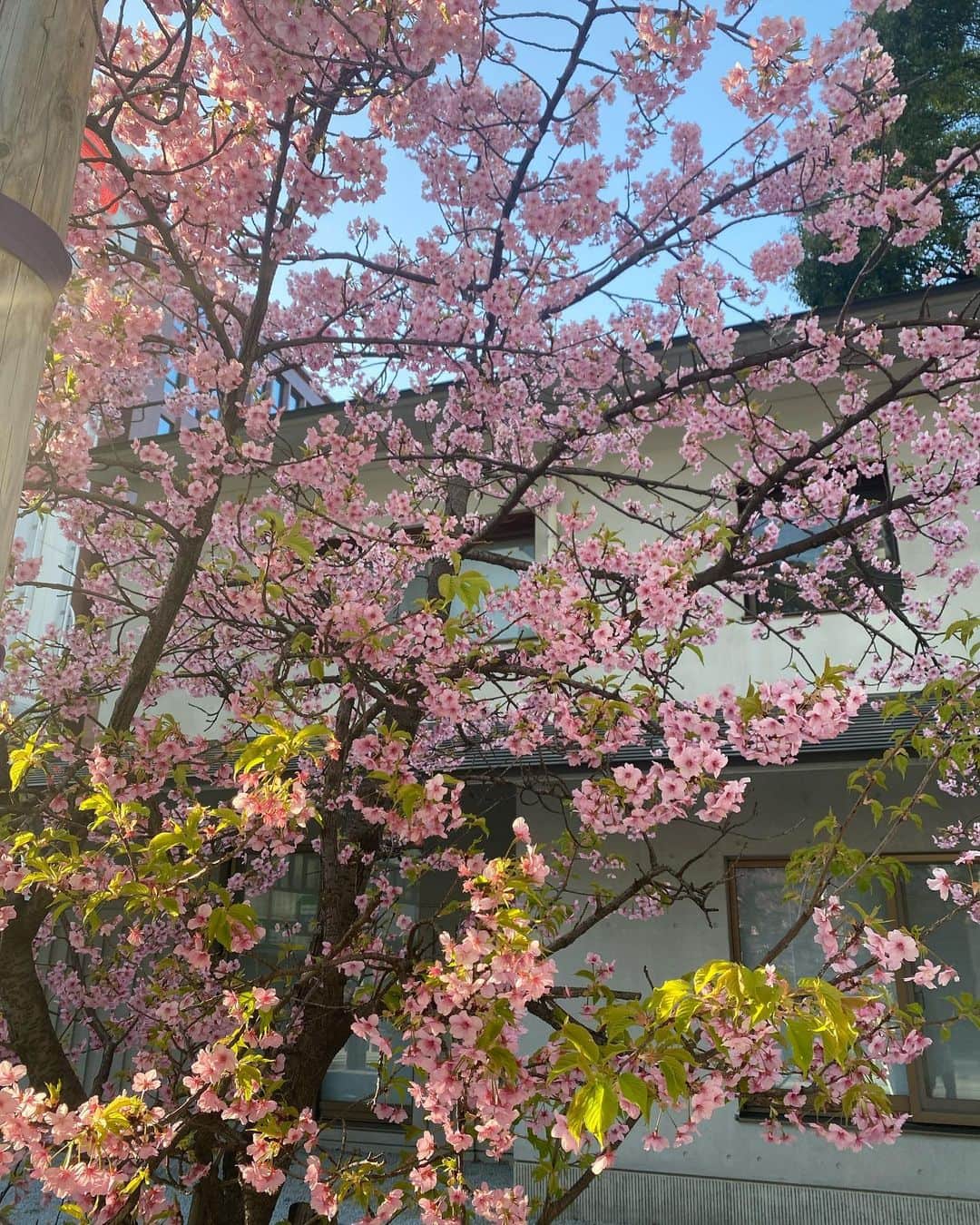 土田瑠美さんのインスタグラム写真 - (土田瑠美Instagram)「🫶」3月11日 22時48分 - ru0711