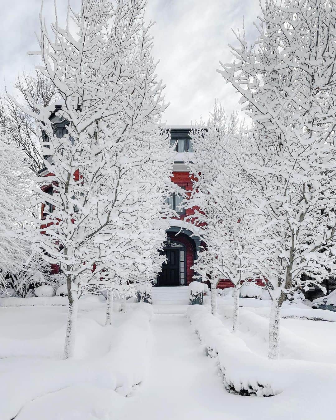 kaelのインスタグラム：「A few more from the neighbourhood. It snowed again last night ☃️」