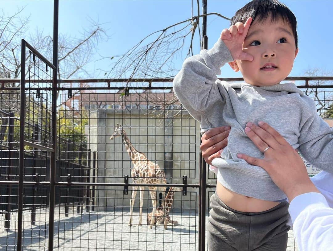 佐伯霞さんのインスタグラム写真 - (佐伯霞Instagram)「#王子動物園 #神戸王子動物園  #尼崎競艇場 #関西お出かけ  動物園距離近いしばりよかった。 プチ遊園地もあって 大はしゃぎ。  🚤迫力すごい。 慈1-5-7！て永遠にゆーてたけど 7号邸てどこにあるん。 一生当たることない予想屋🎯」3月11日 23時38分 - boxkasumi