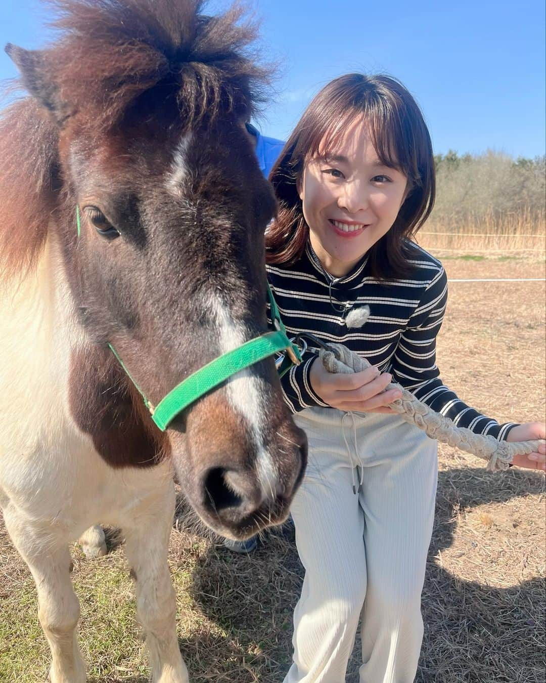 阿部真澄のインスタグラム：「.  海の森の公園のプレオープンイベントに行ってきました！  東京2020では総合馬術の会場だった場所です。もーーとにかく広い！ここが江東区だとは忘れてしまうようなまさに森の中公園でした  イベントに来ていた移動動物園のポニー🐴バビちゃん♀可愛かったなぁ〜  3月は毎週土日にプレオープンイベントを開催中です https://www.kouwan.metro.tokyo.lg.jp/kanko/uminomori/preopen/  #海の森公園 #海の森公園プレオープンイベント #ポニー #移動動物園  📺区政情報番組「江東ワイドスクエア」(111CH) 3/12(日)〜18(土) 9:00〜,12:00〜,15:00〜,19:00〜  #アナウンサー#フリーアナウンサー#ナレーター#司会#司会者#キャスター#ケーブルテレビ#江東ワイドスクエア#江東区#豊洲#清澄白河#門前仲町#亀戸#有明#豊洲#夢の島#阿部真澄 #kotoku#kiyosumishirakawa#toyosu#monzennakacho」