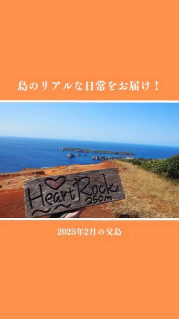 小笠原村観光協会のインスタグラム：「【島の日常をお届け！】2023年2月の父島  小笠原諸島の父島の生活ってどうなの？ 観光の楽しみ方は？ 月ごとの小笠原はどんな感じなの？  そんな様々な疑問にお答えできるように、父島の日常やイベントなどをお届けするこの企画！ 今回は「2023年2月の父島」をお届けします！！  2月は、 輸送艦　くにさき ははじま丸のドック入り ザトウクジラ などがありました😃  #小笠原  #小笠原諸島  #父島  #ogasawara  #boninisland  #ogasawaraisland  #島暮らし  #小笠原の日常  #離島暮らし  #ここも東京  #船で24時間  #船のある風景  #ははじま丸  #にっぽん丸  #くろしお丸  #くにさき  #海  #海水浴  #シュノーケリング  #ダイビング  #diving  #海のある生活  #boninblue  #ボニンブルー  #クジラ  #ザトウクジラ  #ホエールウォッチング  #whale #ogasawalove  #2月の小笠原   ○*:.。..。.。o○○*:.。..。.。o○○*:.。..。.。o○  小笠原へのご旅行を検討されてる方は、宿泊施設やガイドツアーの情報など小笠原村観光協会のホームページを参考にしてみてください♪ メールやお電話にてパンフレットのご請求も承ります！  ○*:.。..。.。o○○*:.。..。.。o○○*:.。..。.。o○」