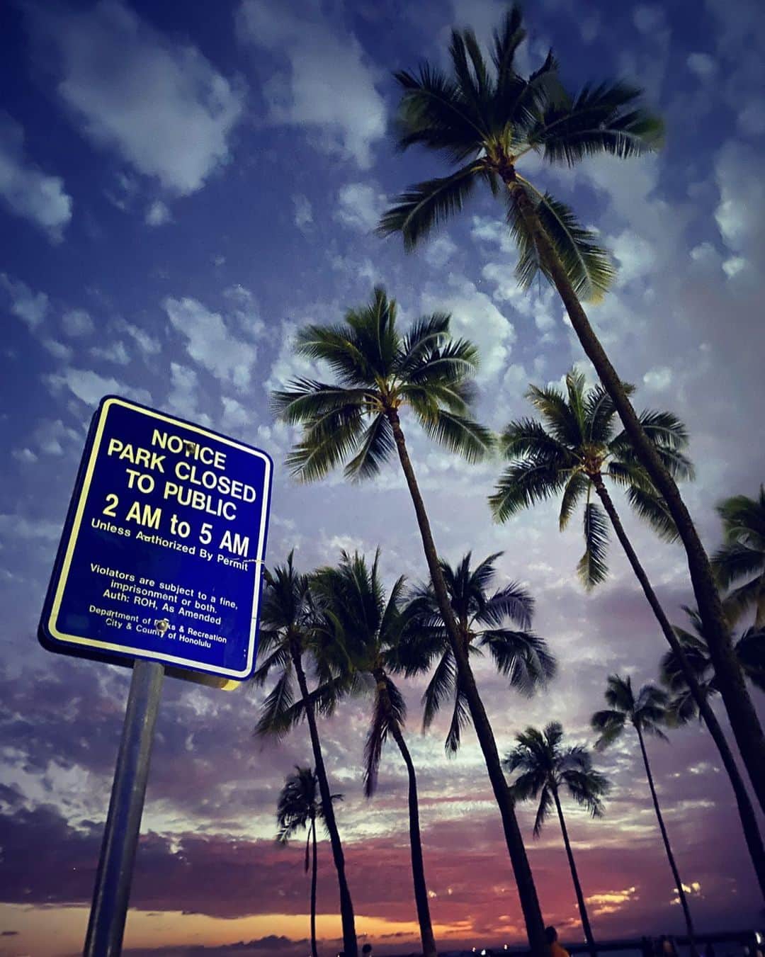 小林香萌さんのインスタグラム写真 - (小林香萌Instagram)「どこを撮ってもフリー素材なハワイの風景🌴🤙」3月12日 2時08分 - kajo_kajiiiiito