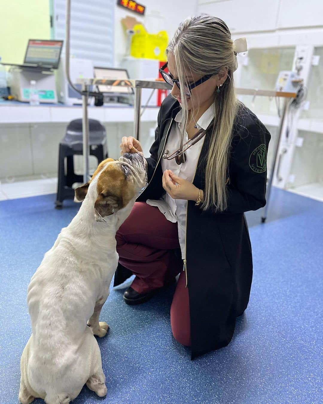 バネッサ・メスキータのインスタグラム：「Uma coisa que eu aprendi com esse carinha? Que aos poucos as coisas vão se ajeitando, a confiança é recuperada de forma natural, e um dia se volta a sorrir 🖤🐶 obrigada carinha, por voltar a confiar no ser humano depois de tudo que você passou.   Diariamente meus pacientes me ensinam! 🖤  #medvet #medicinaveterinaria #institutopetvan #adotecomresponsabilidade」