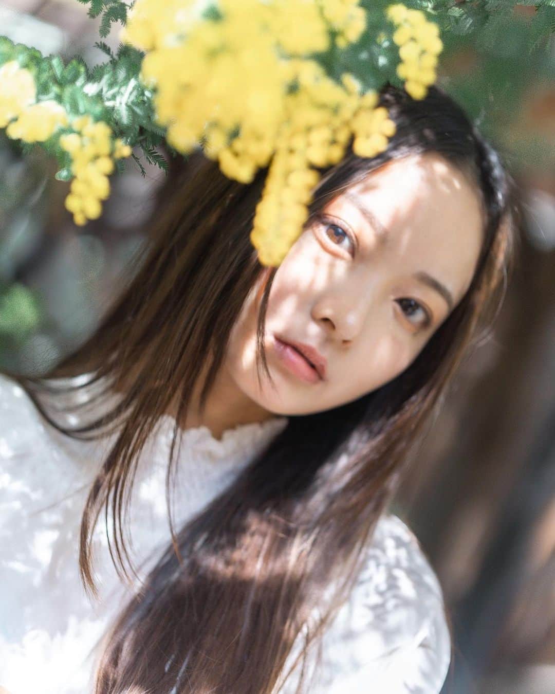 川瀬莉子さんのインスタグラム写真 - (川瀬莉子Instagram)「. 久々投稿になっちゃった🌞 もうミモザの季節です💛 いっぱい撮ったから次は絶対すぐ載せる！！！ 　 　 photoby @saya_emori  #portrait#camera#mimosa#jp_portrait部#ポートレート写真#一眼レフ#蔵前神社#ミモザ」3月12日 19時24分 - kawase_riko_official