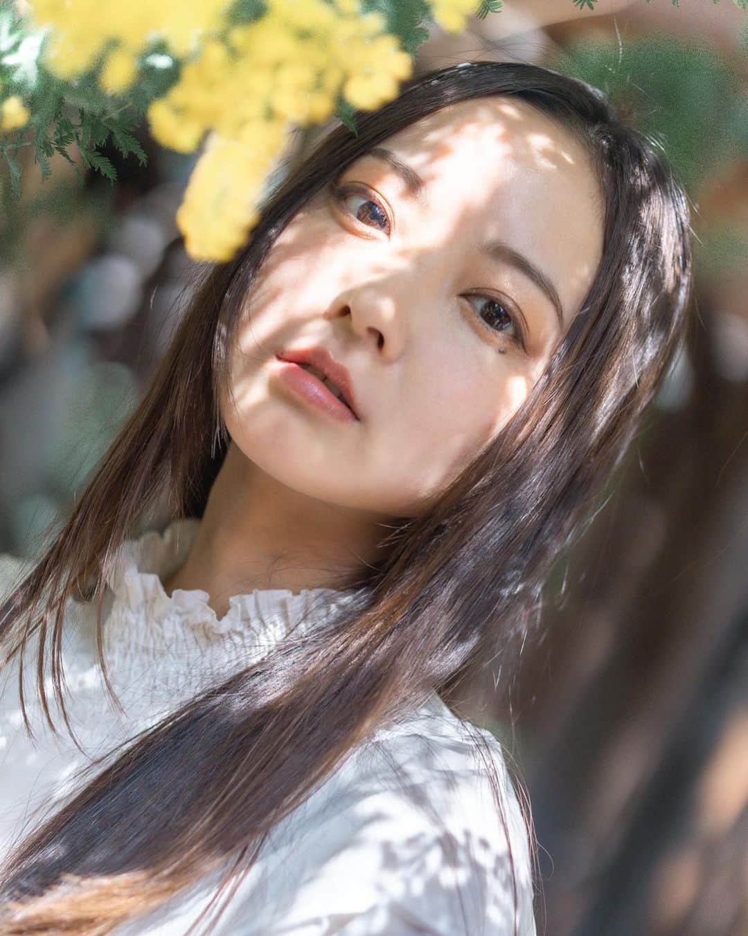 川瀬莉子さんのインスタグラム写真 - (川瀬莉子Instagram)「. 久々投稿になっちゃった🌞 もうミモザの季節です💛 いっぱい撮ったから次は絶対すぐ載せる！！！ 　 　 photoby @saya_emori  #portrait#camera#mimosa#jp_portrait部#ポートレート写真#一眼レフ#蔵前神社#ミモザ」3月12日 19時24分 - kawase_riko_official